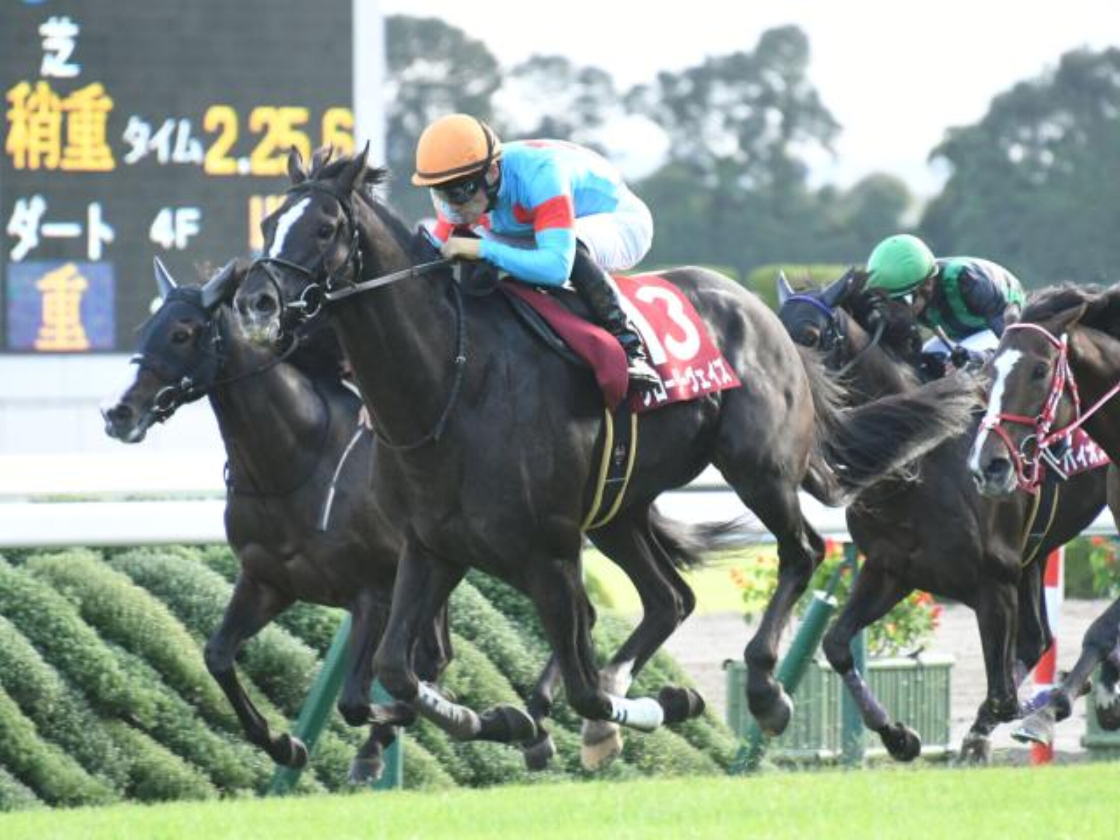 Kyoto_Daishoten_2020