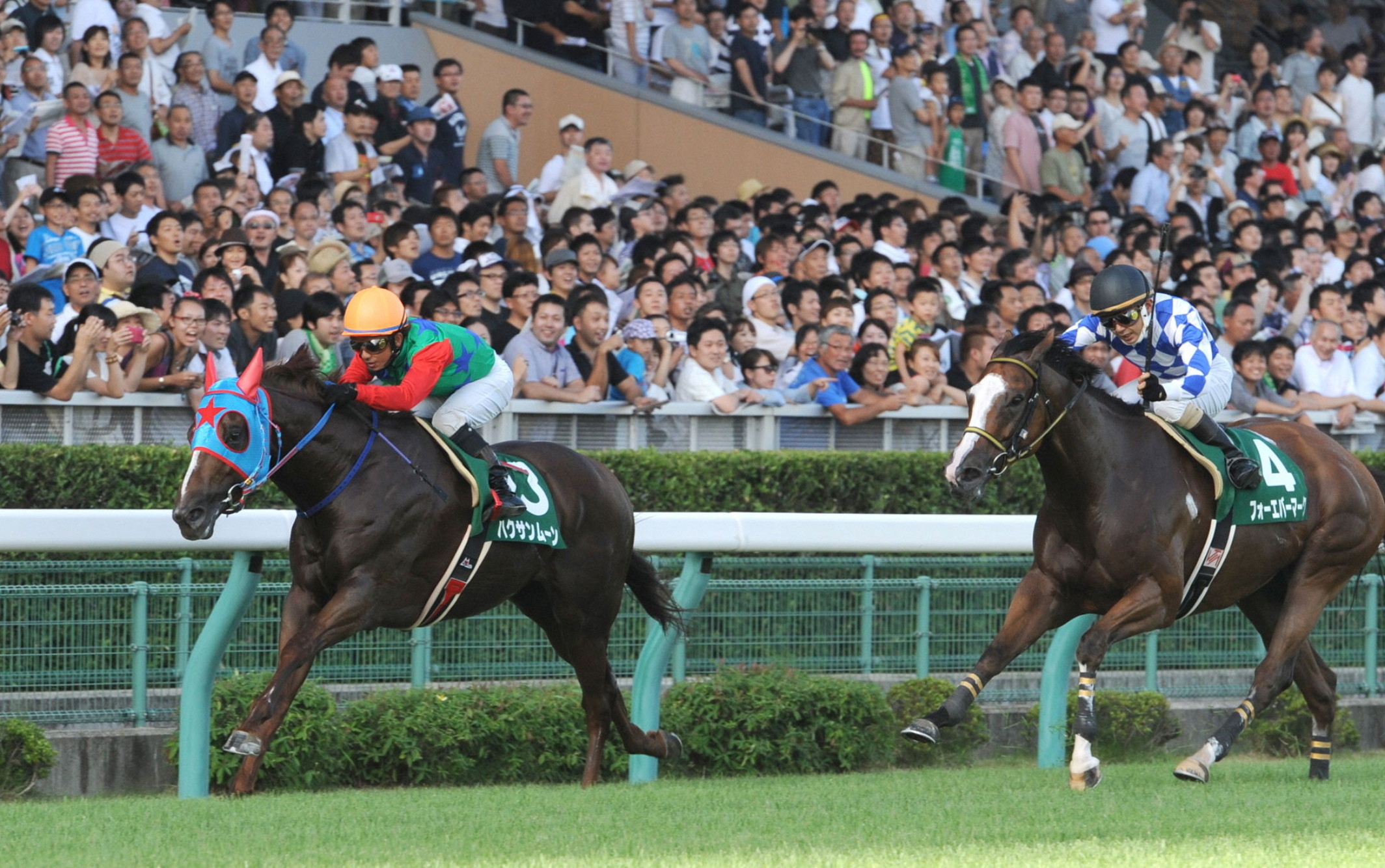 Manabu_Sakai_with_Hakusan_Moon