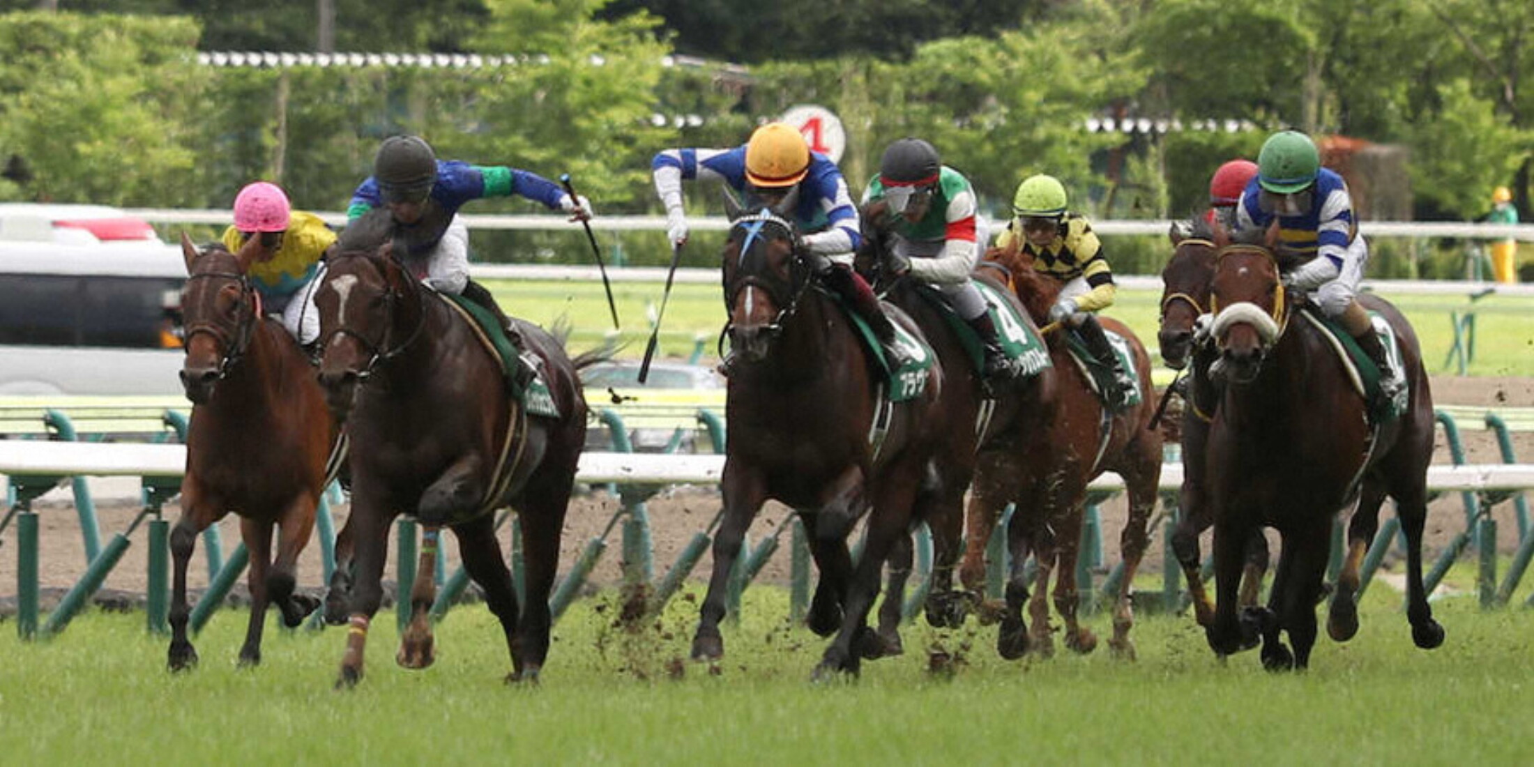 Tanabata_Sho_2020