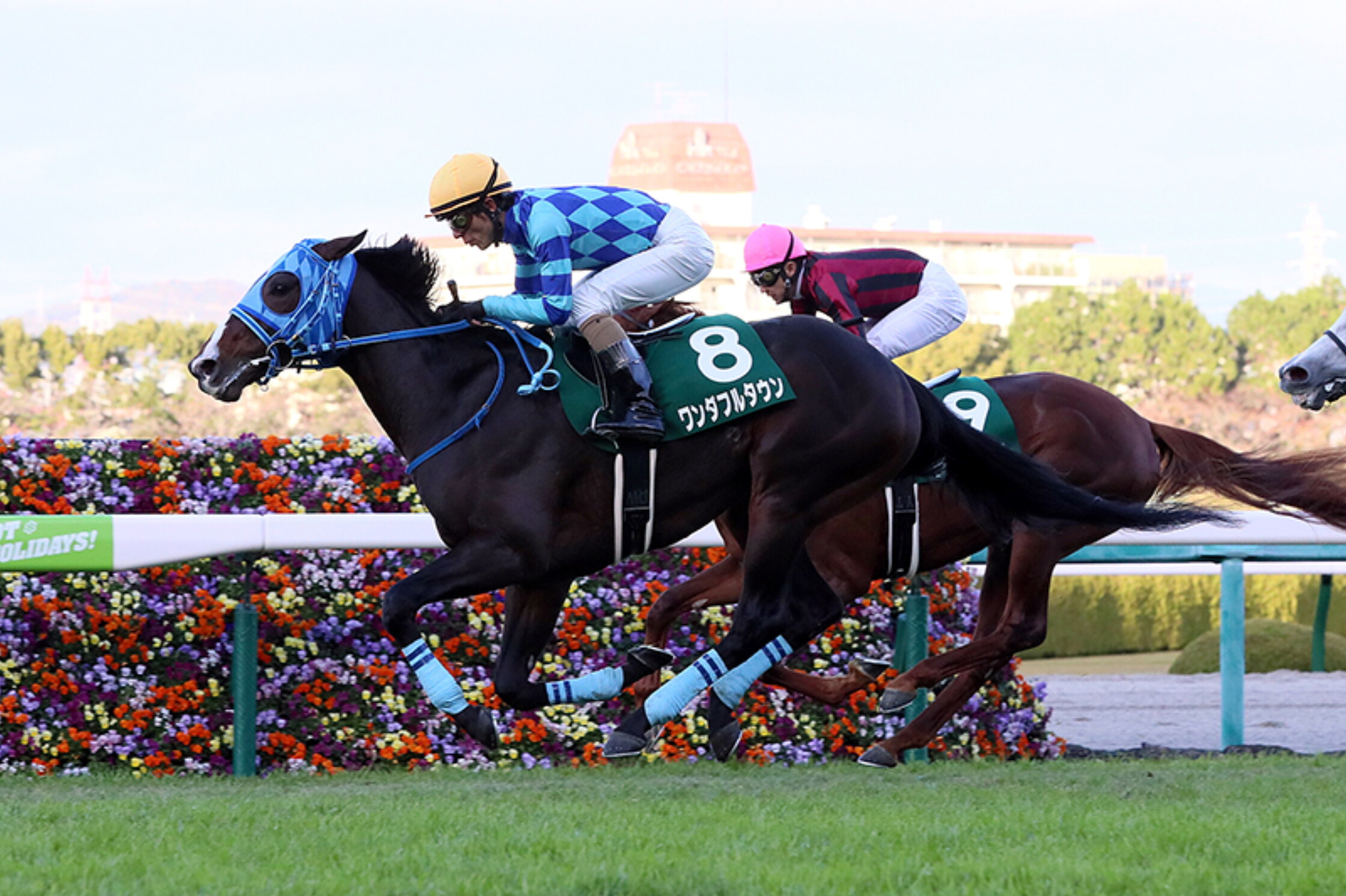 Radio_Nikkei_hai_Kyoto_2_years_Stakes_2020