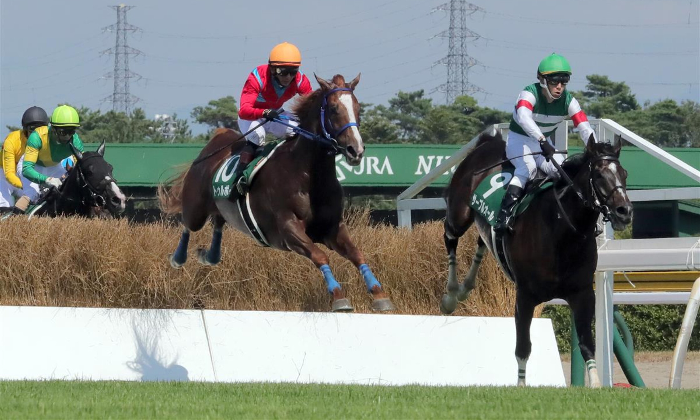 Niigata_Jump_Stakes_2021