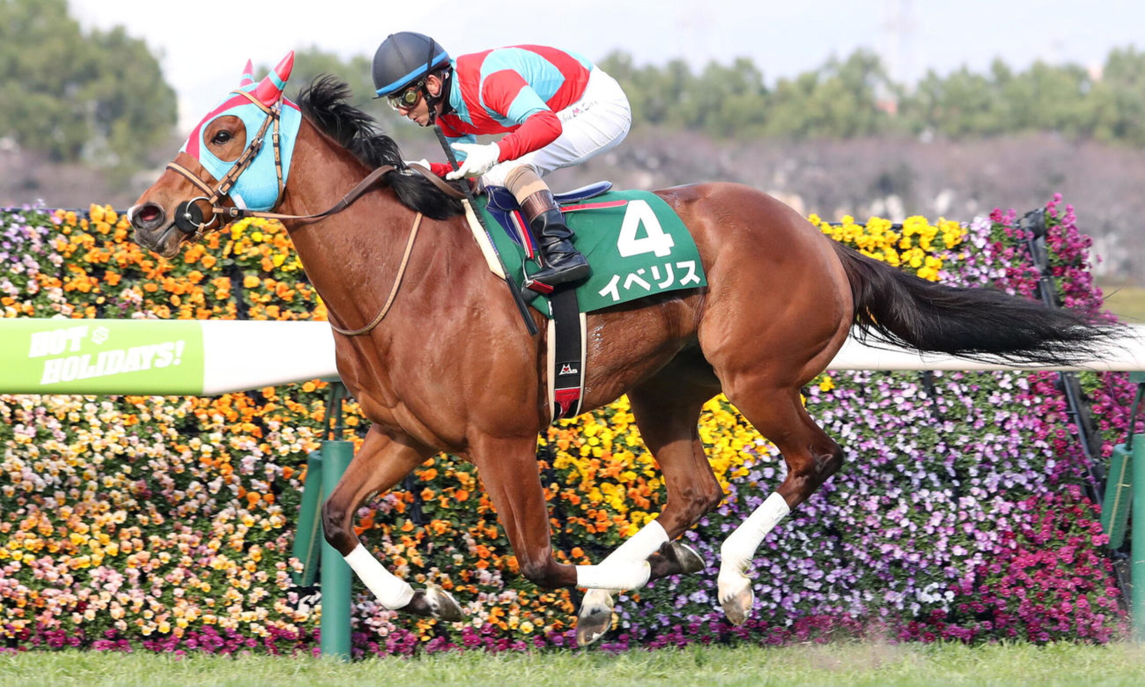 Kyoto_Mare_Stakes_2021