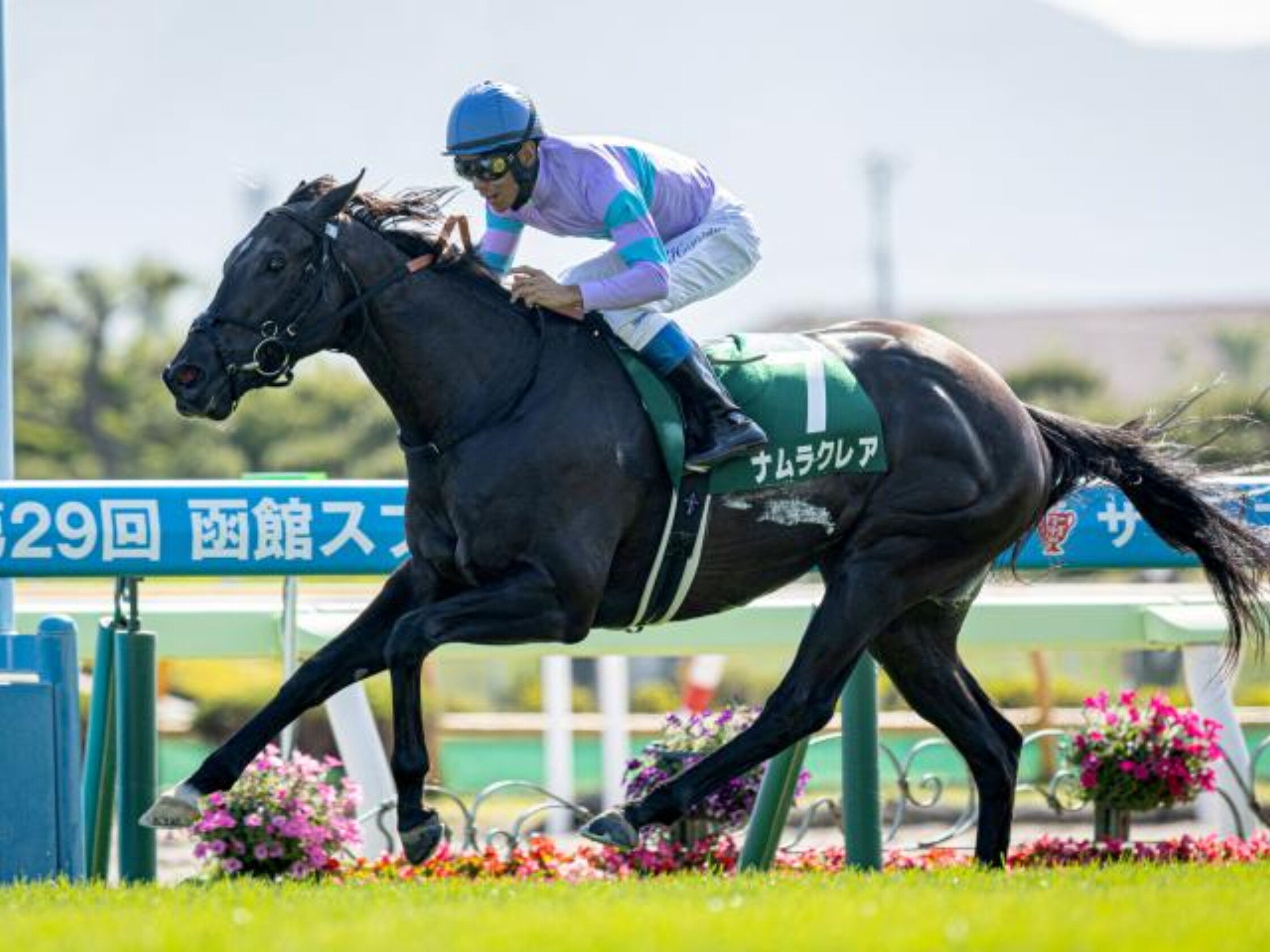 Hakodate_Sprint_Stakes_2022