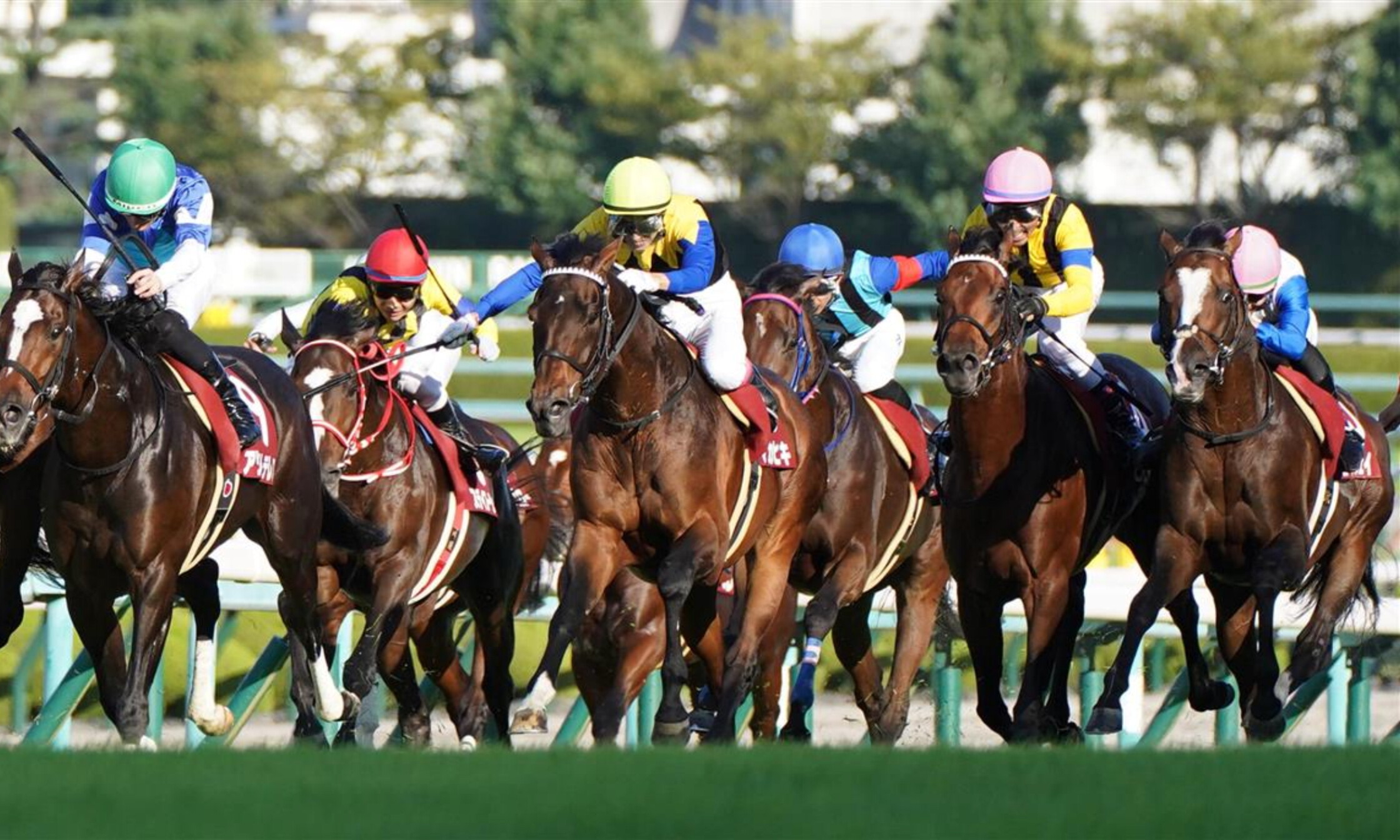 Kyoto_Daishoten_2021