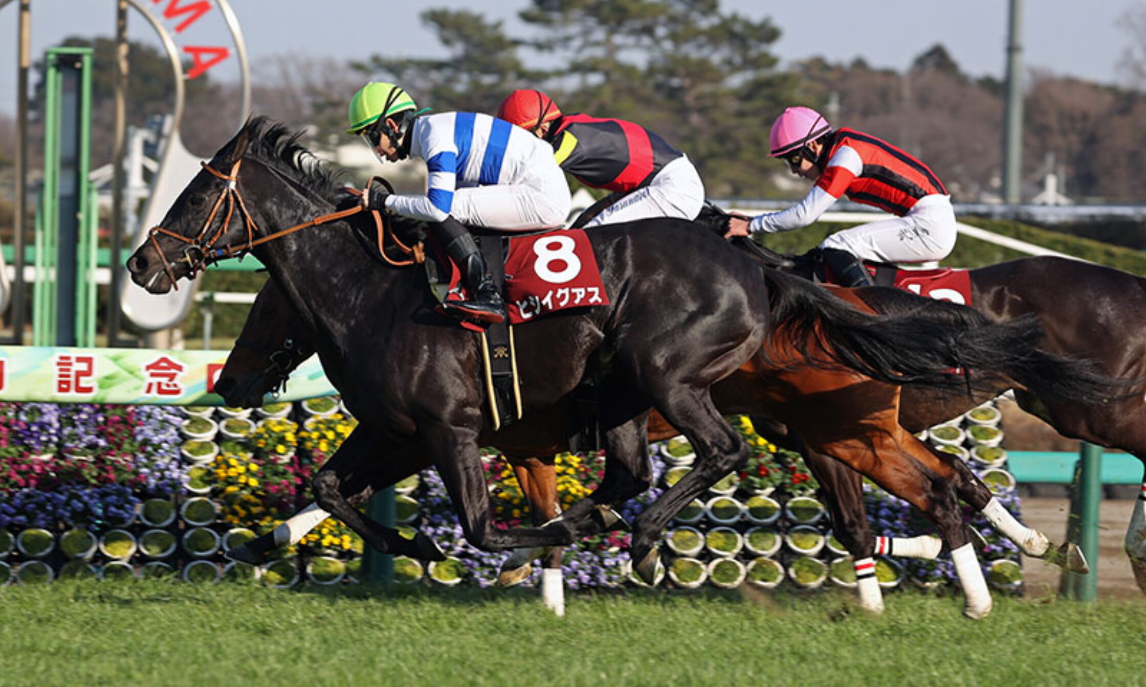Nakayama_Kinen_2021