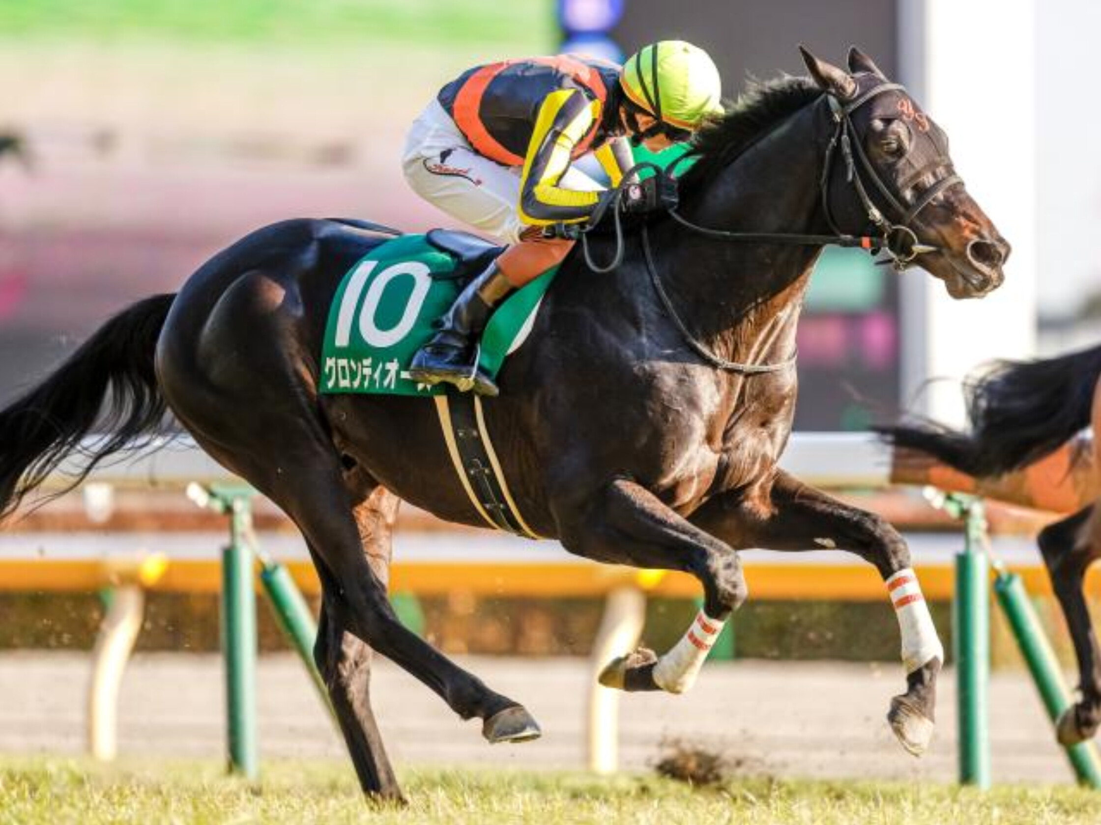 Diamond_Stakes_2021