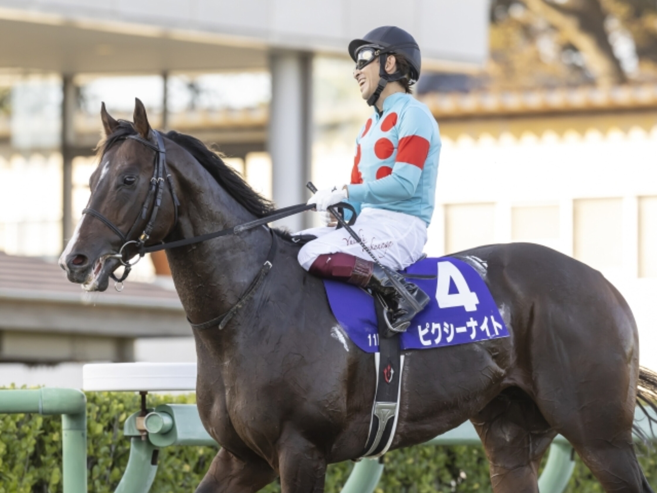 Sprinters_Stakes_2021
