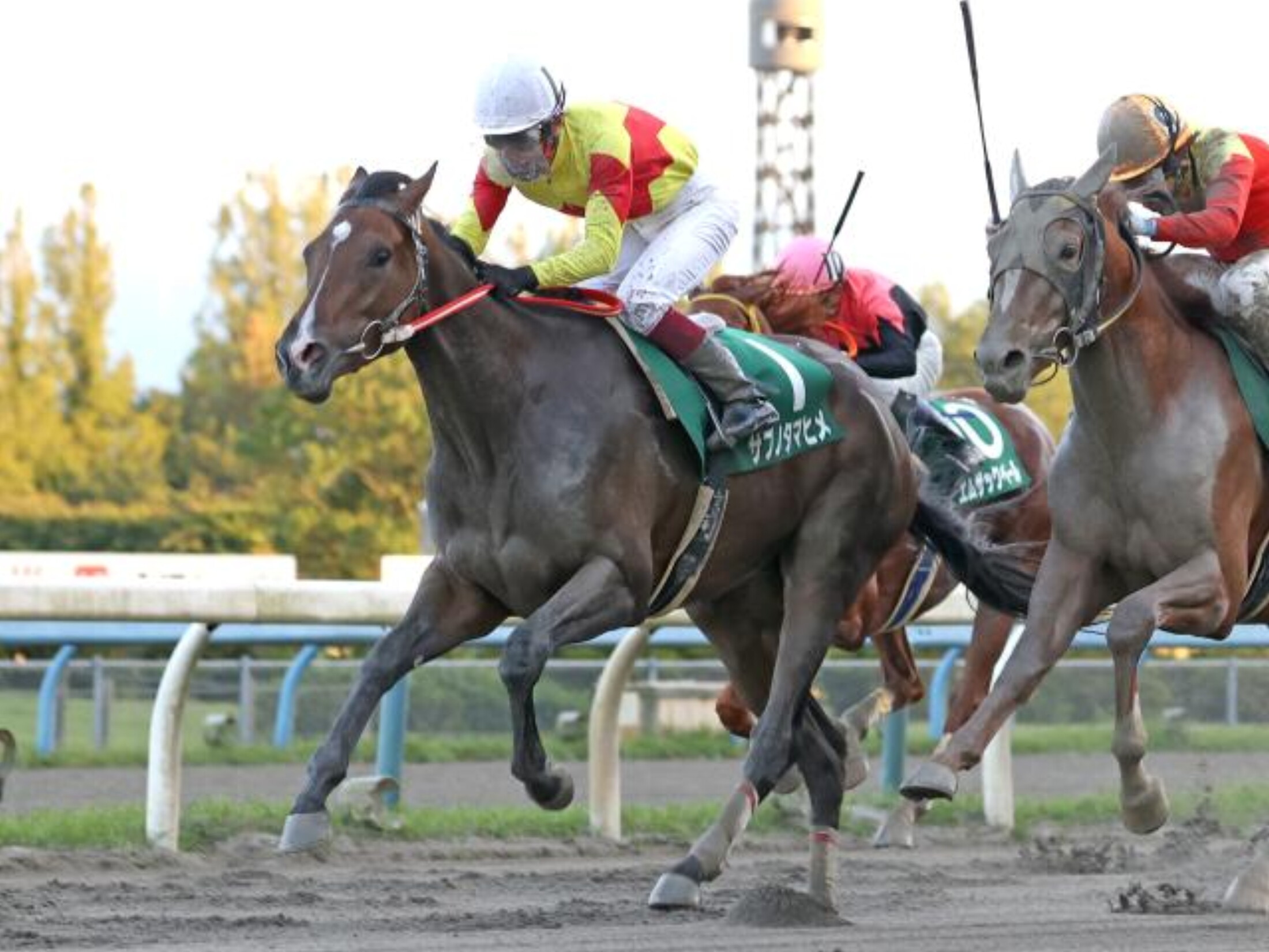 Kenrokuen_Junior_Cup_2020