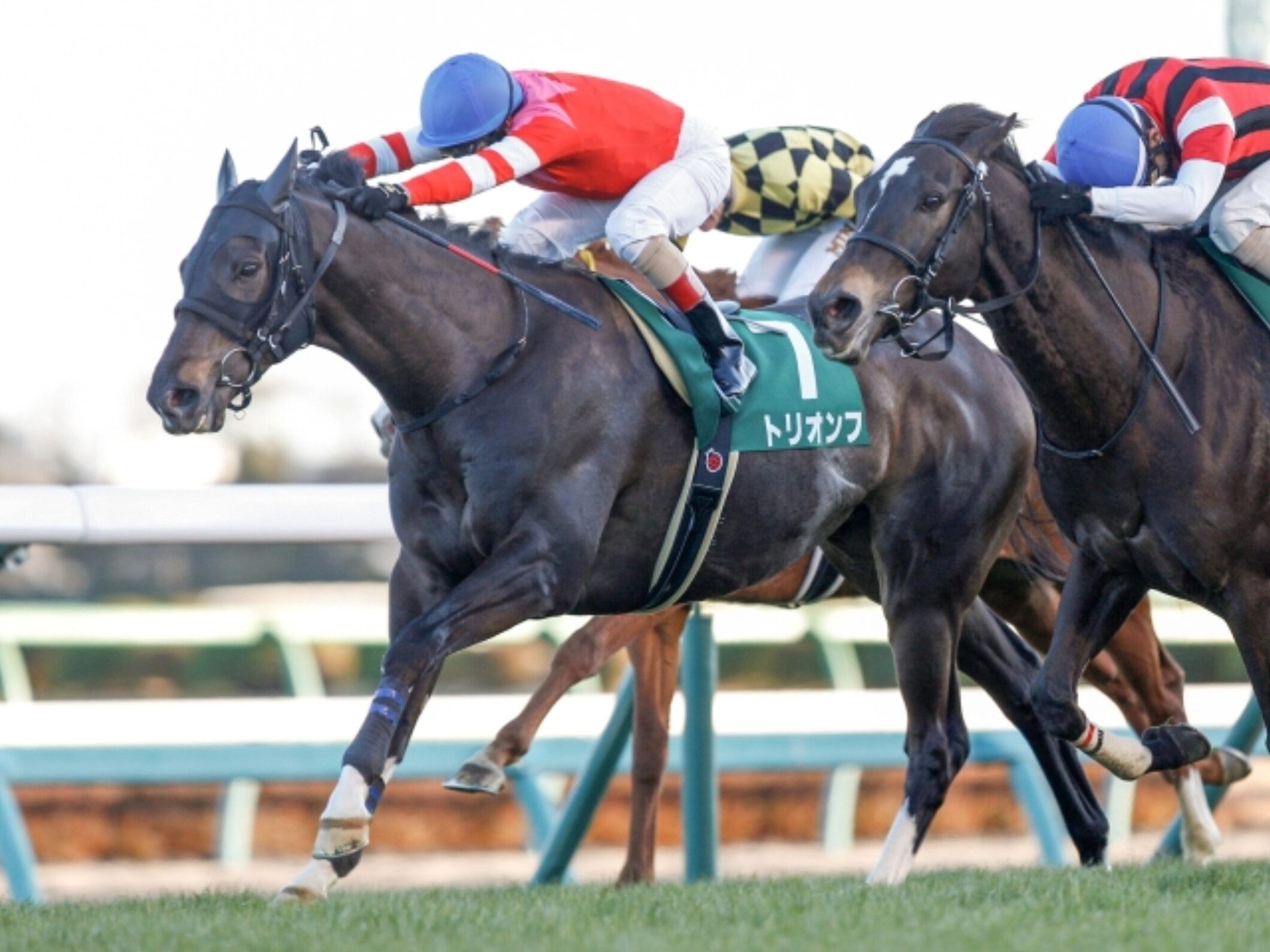 Mirco_Demuro_with_Win_Exceed