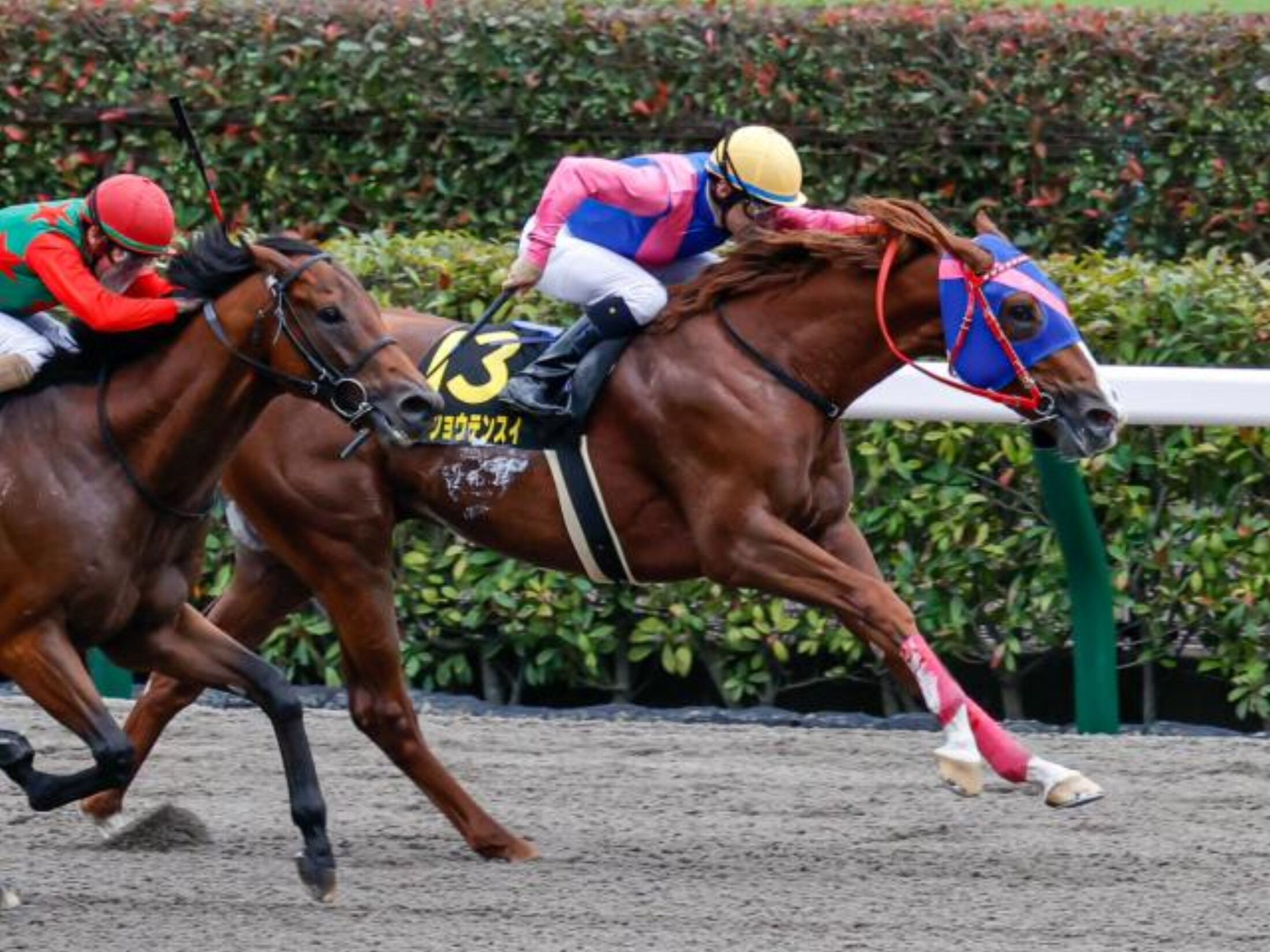 Green_Channel_Cup_2020