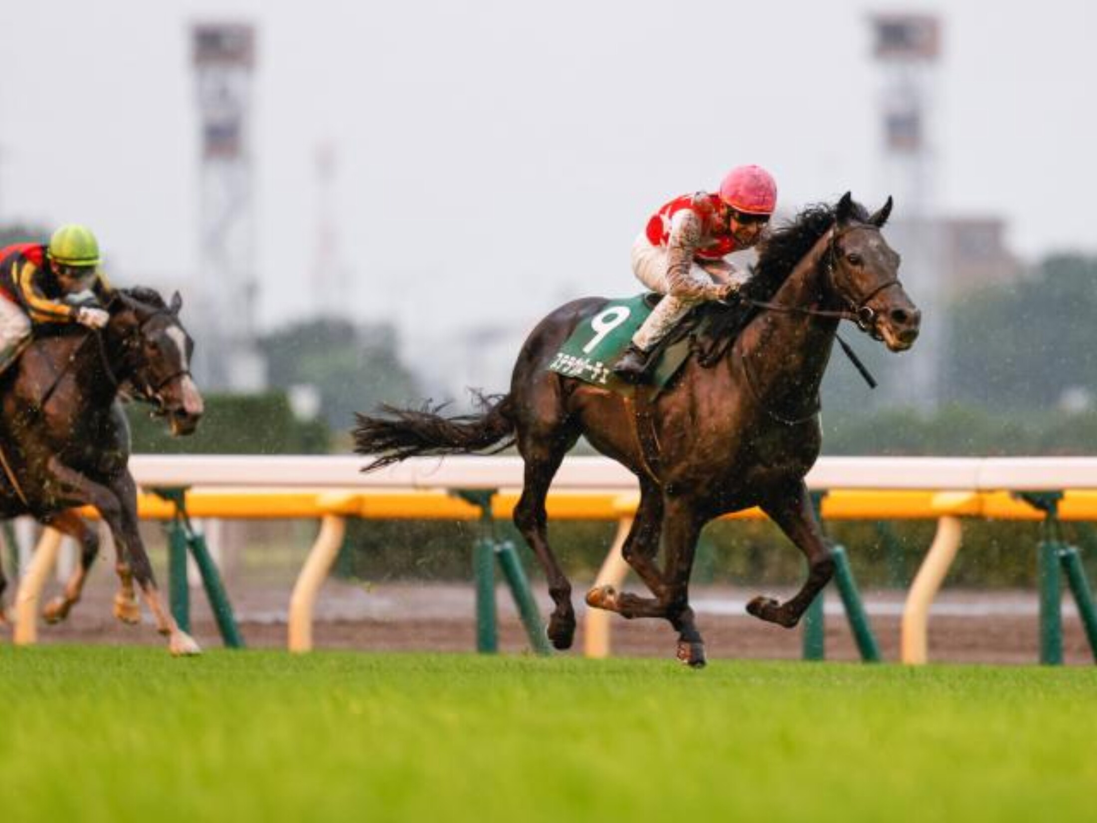 Saudi_Arabia_Loyal_Cup_2020