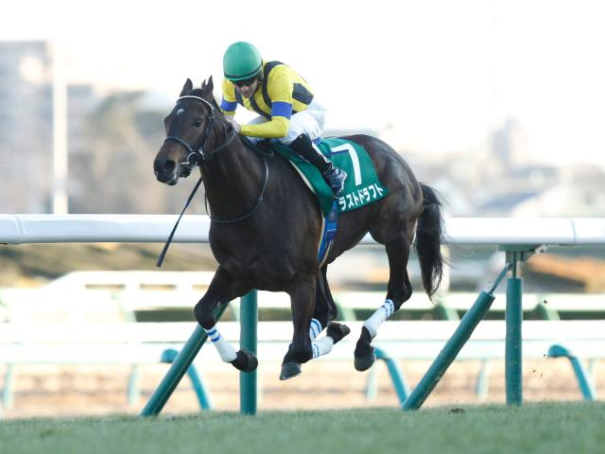 Christophe_Patrice_Lemaire_with_Last_Draft