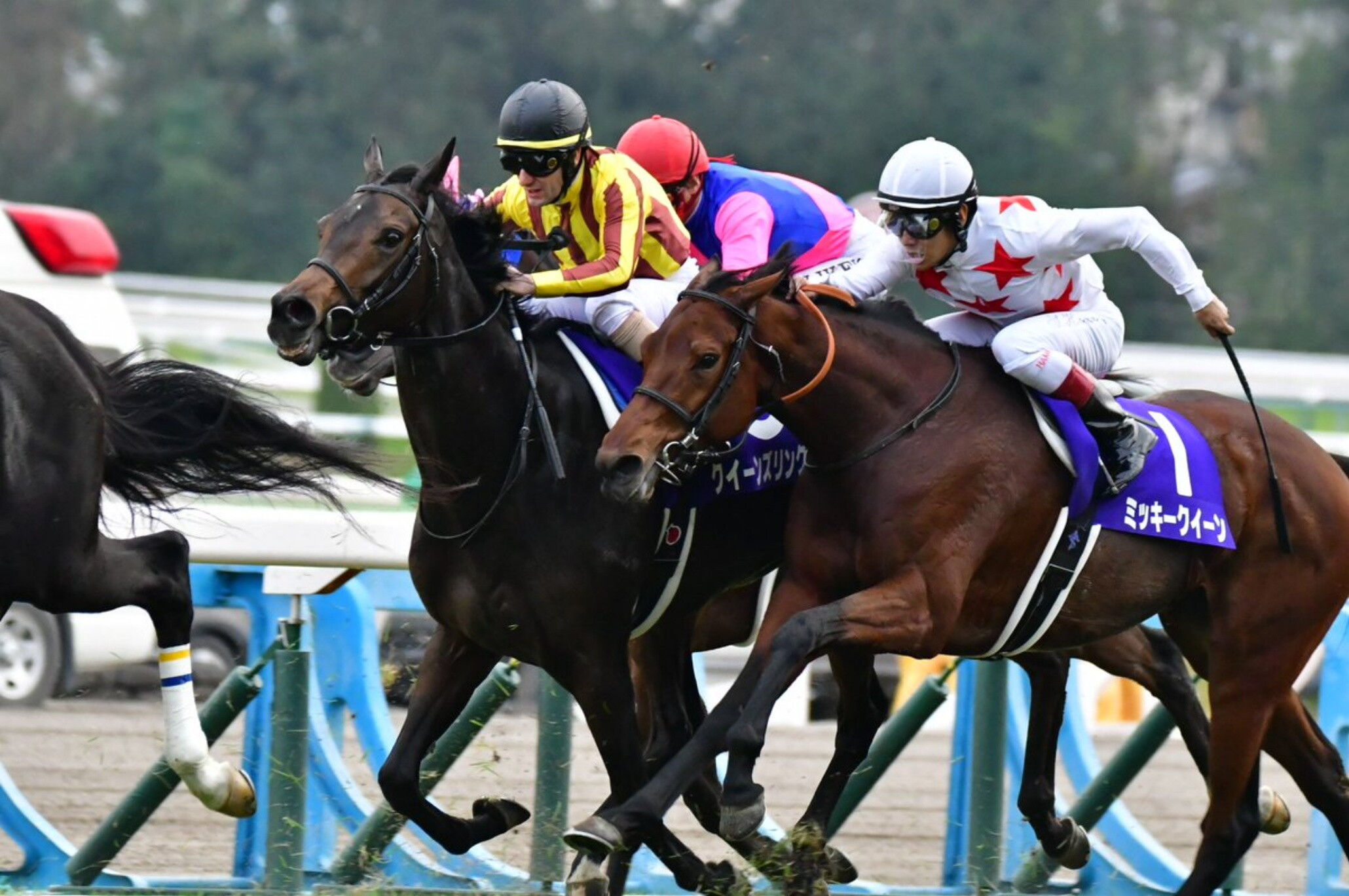 Mirco_Demuro_with_Queens_Ring