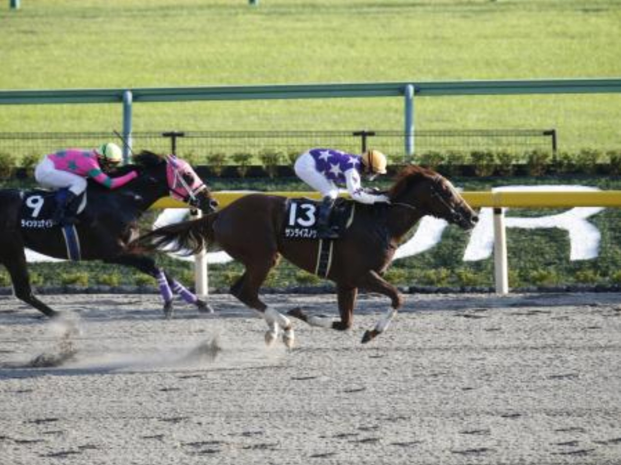 Hiroyuki_Uchida_with_Sunrise_Nova