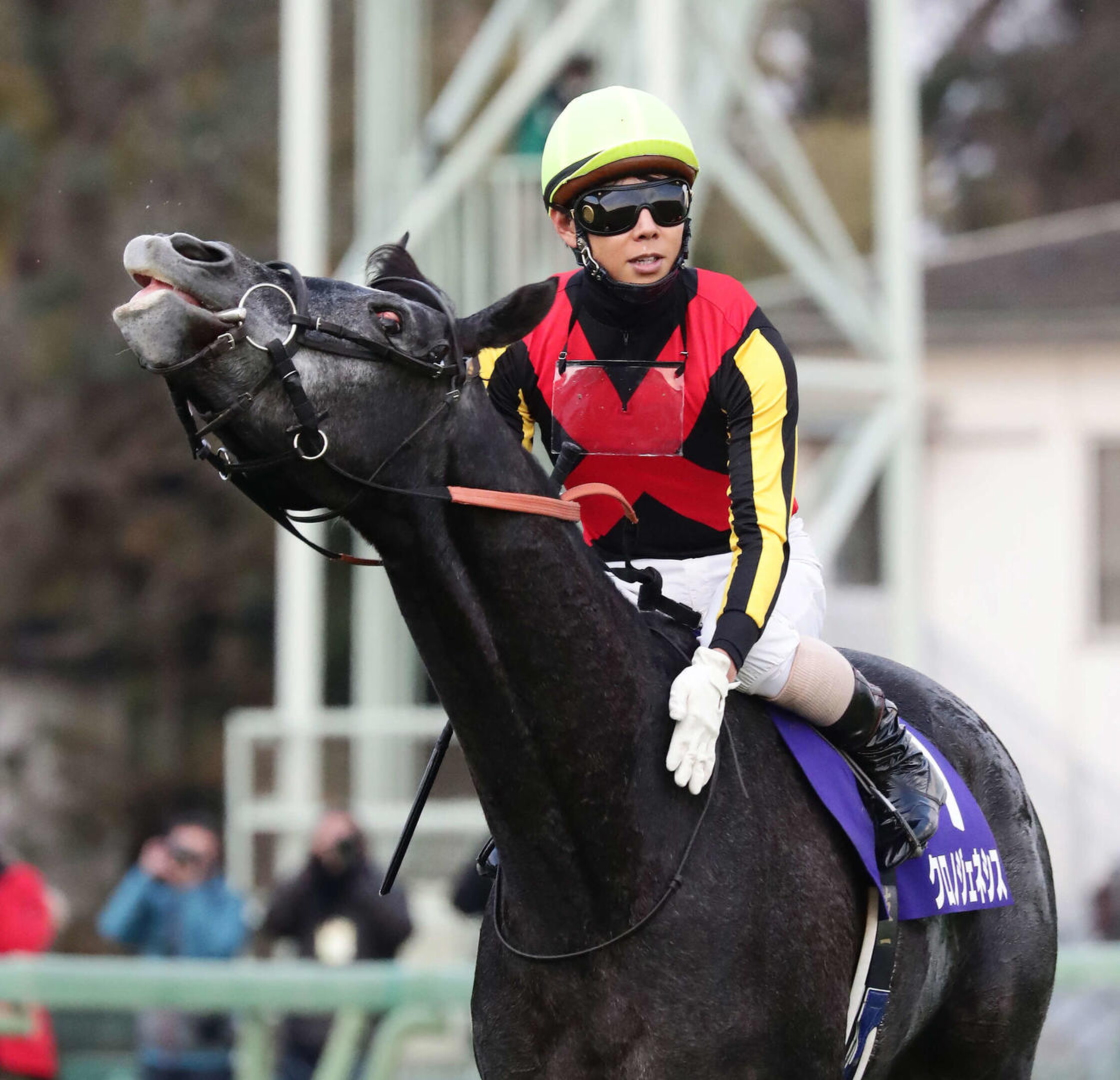 Arima_Kinen_2020