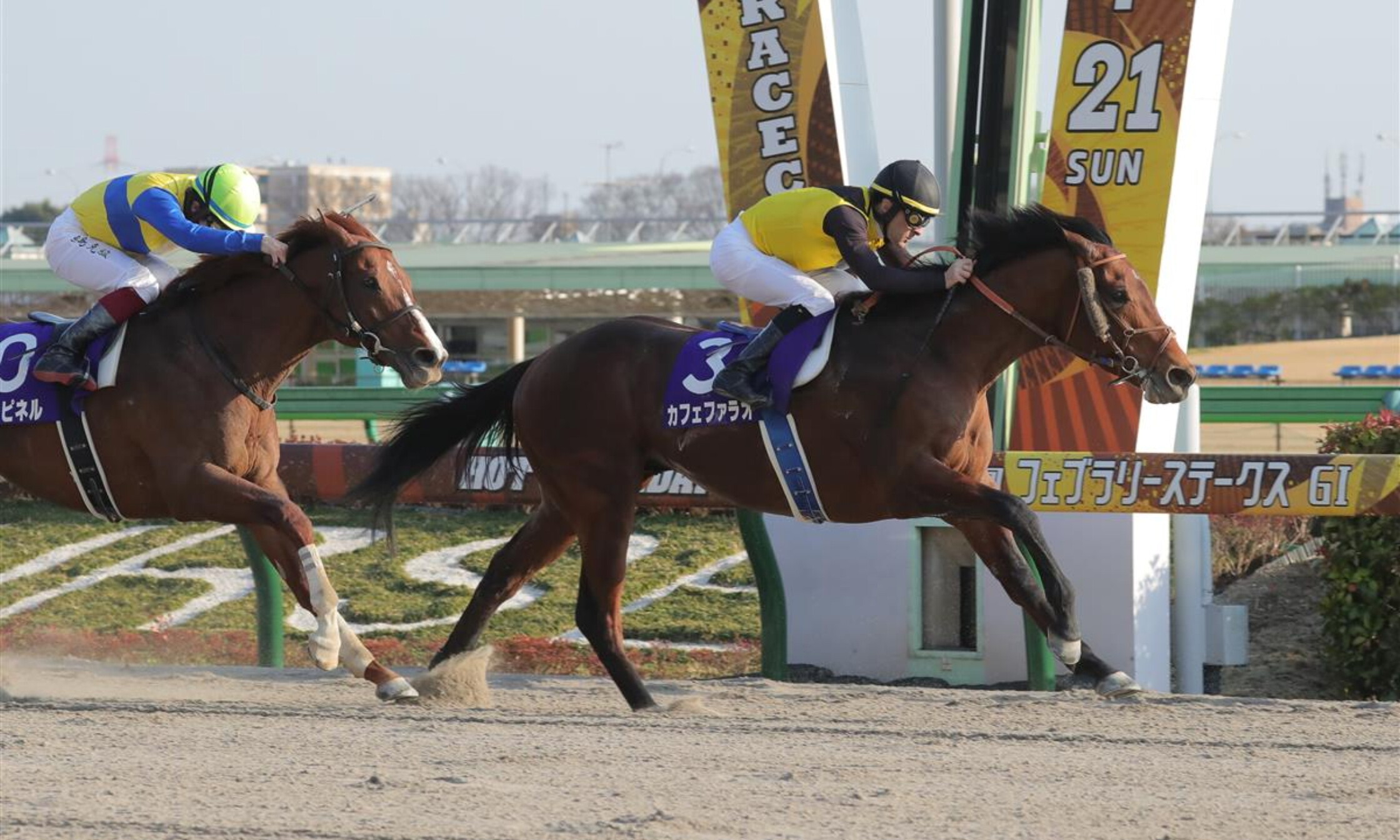 February_Stakes_2021