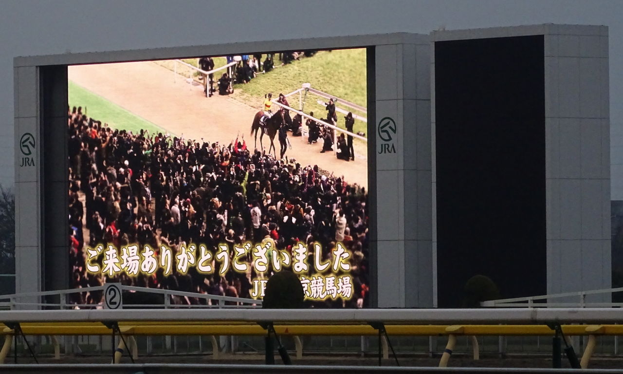 イメージ 7