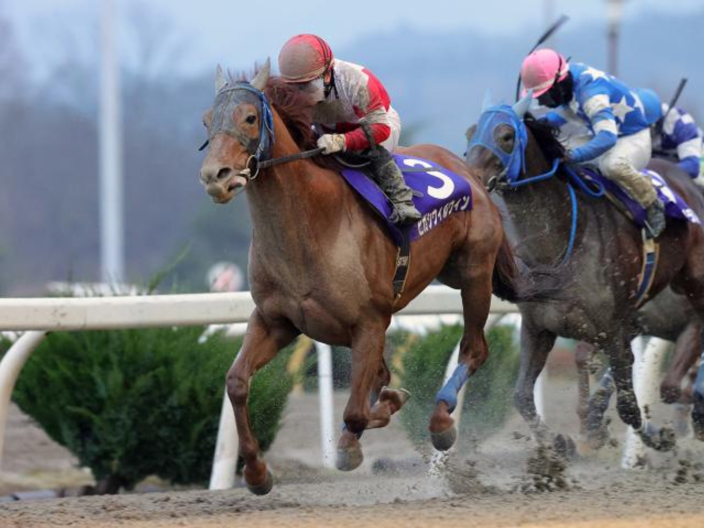 Tokei_Nisei_Kinen_2021