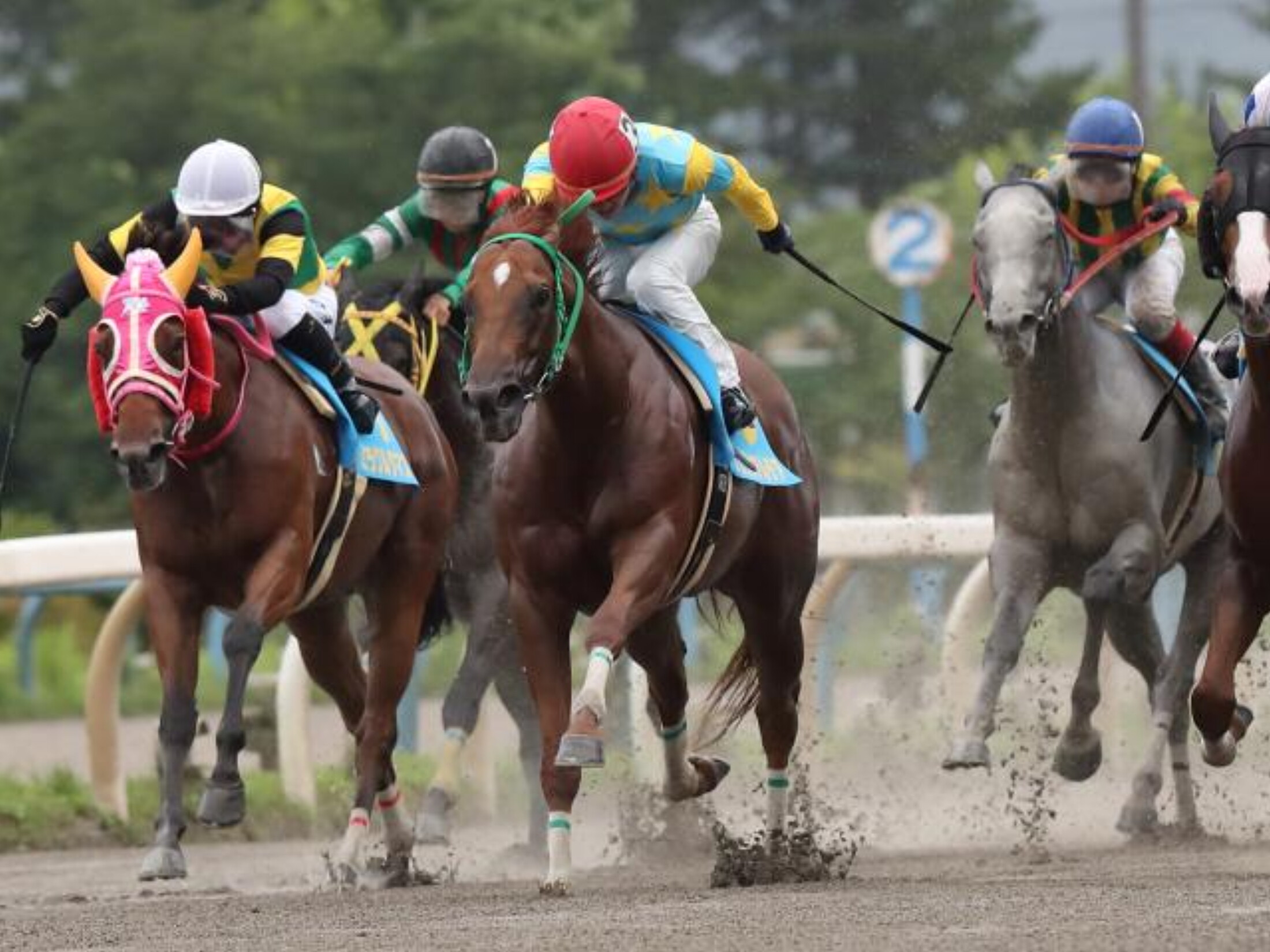 Nihonkai_Sprint_2020