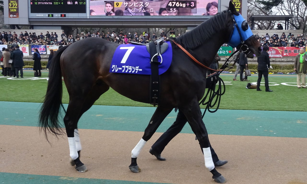 イメージ 8