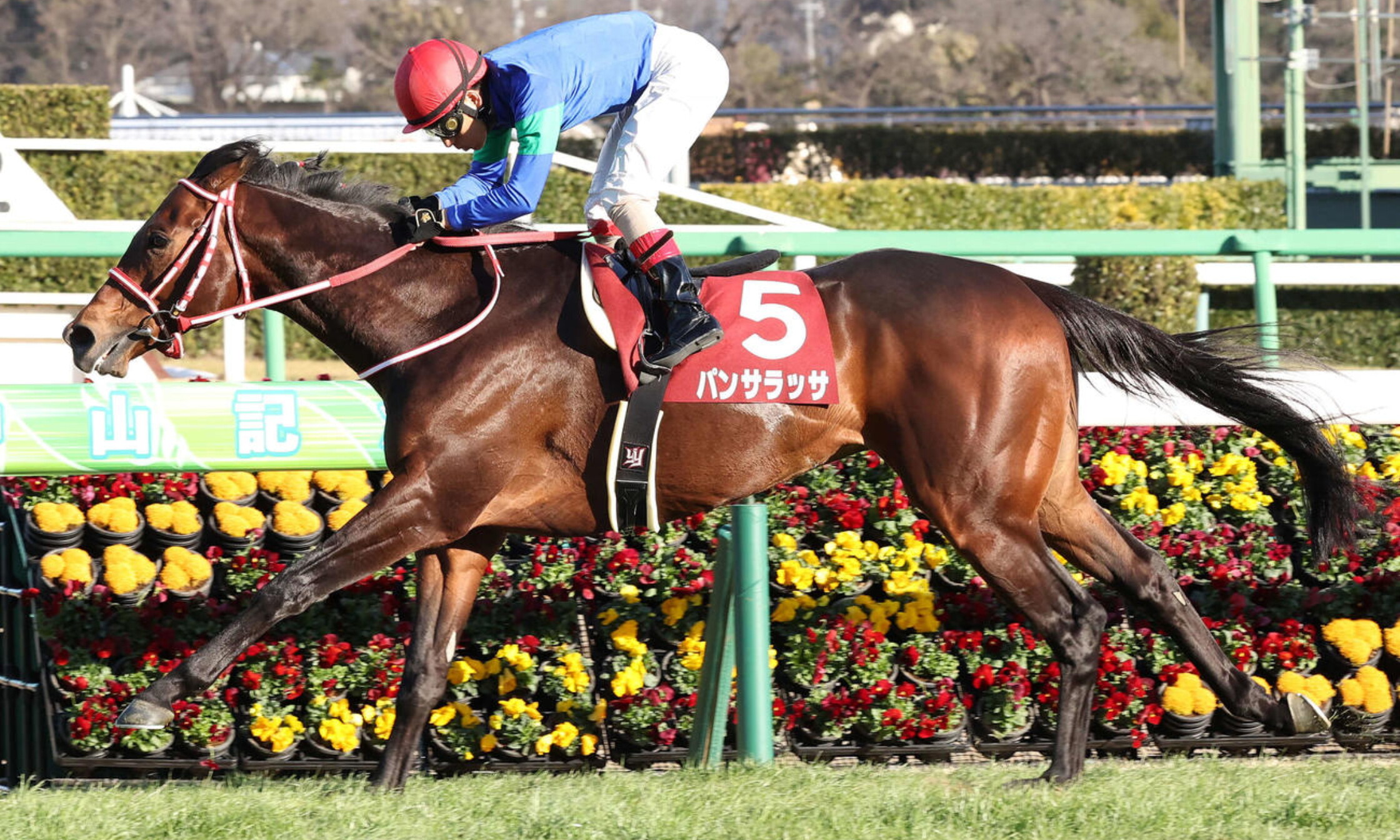 Nakayama_Kinen_2022