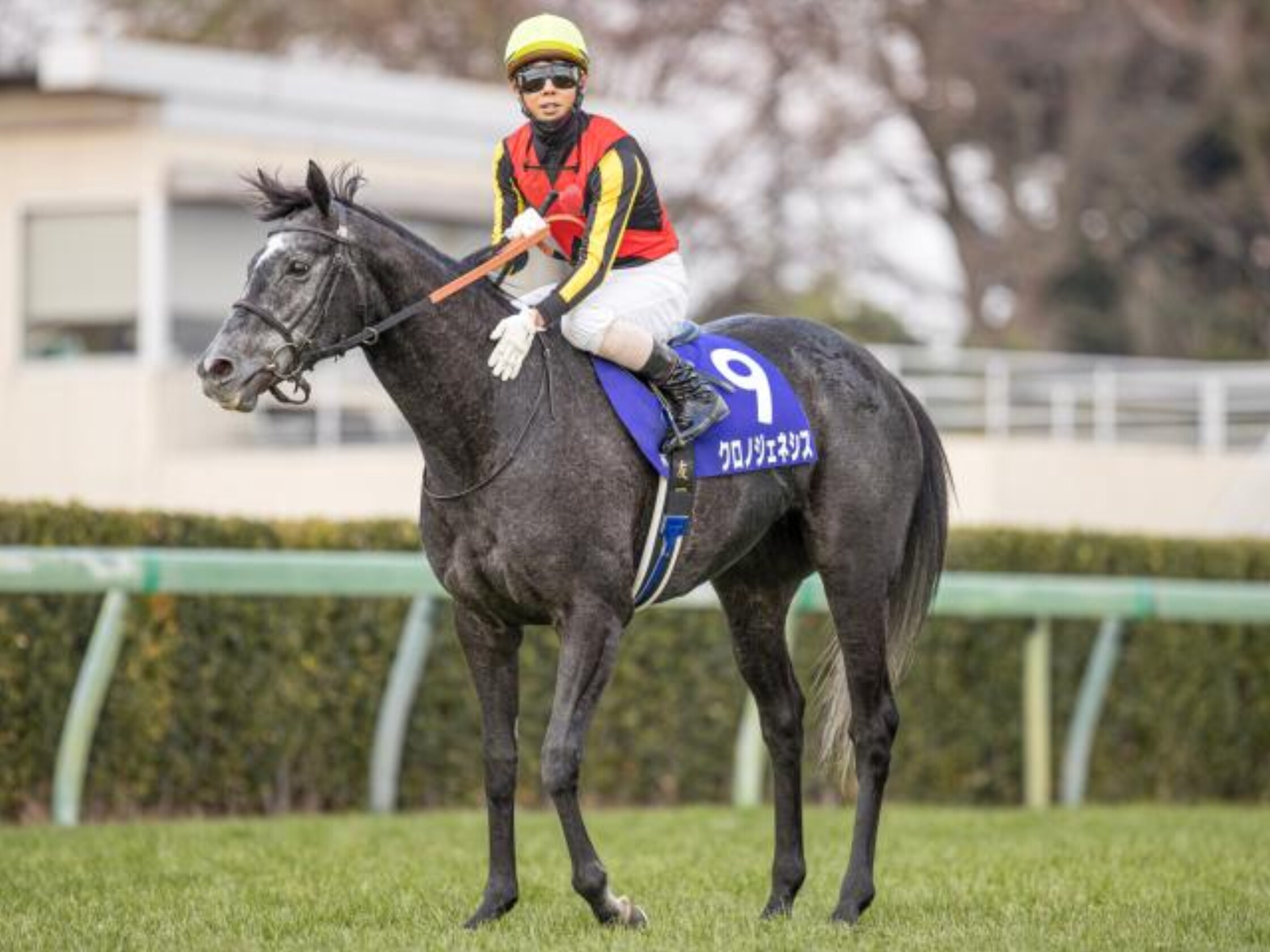 Arima_Kinen_2020