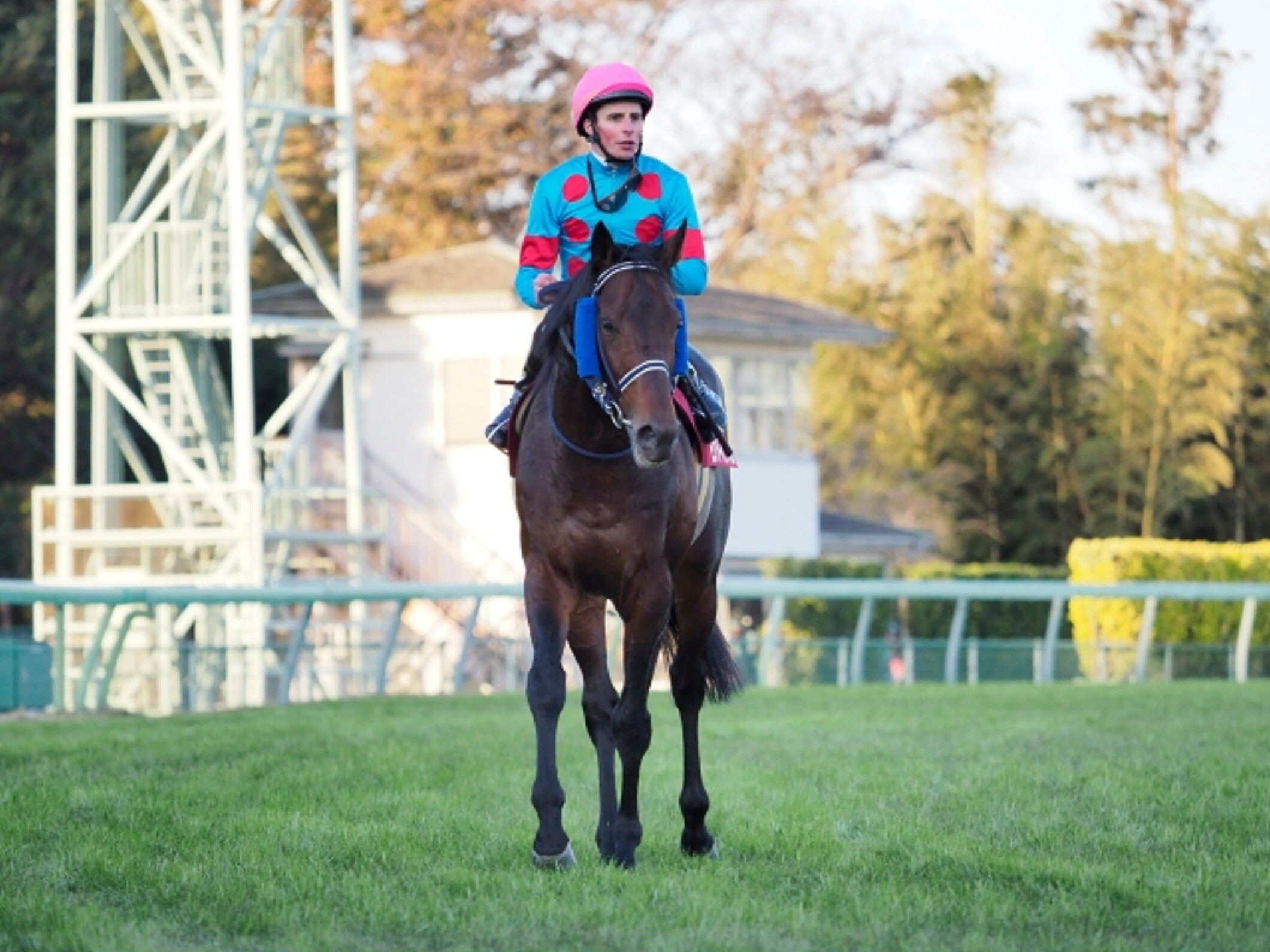 William_Buick_with_Mondo_Intero
