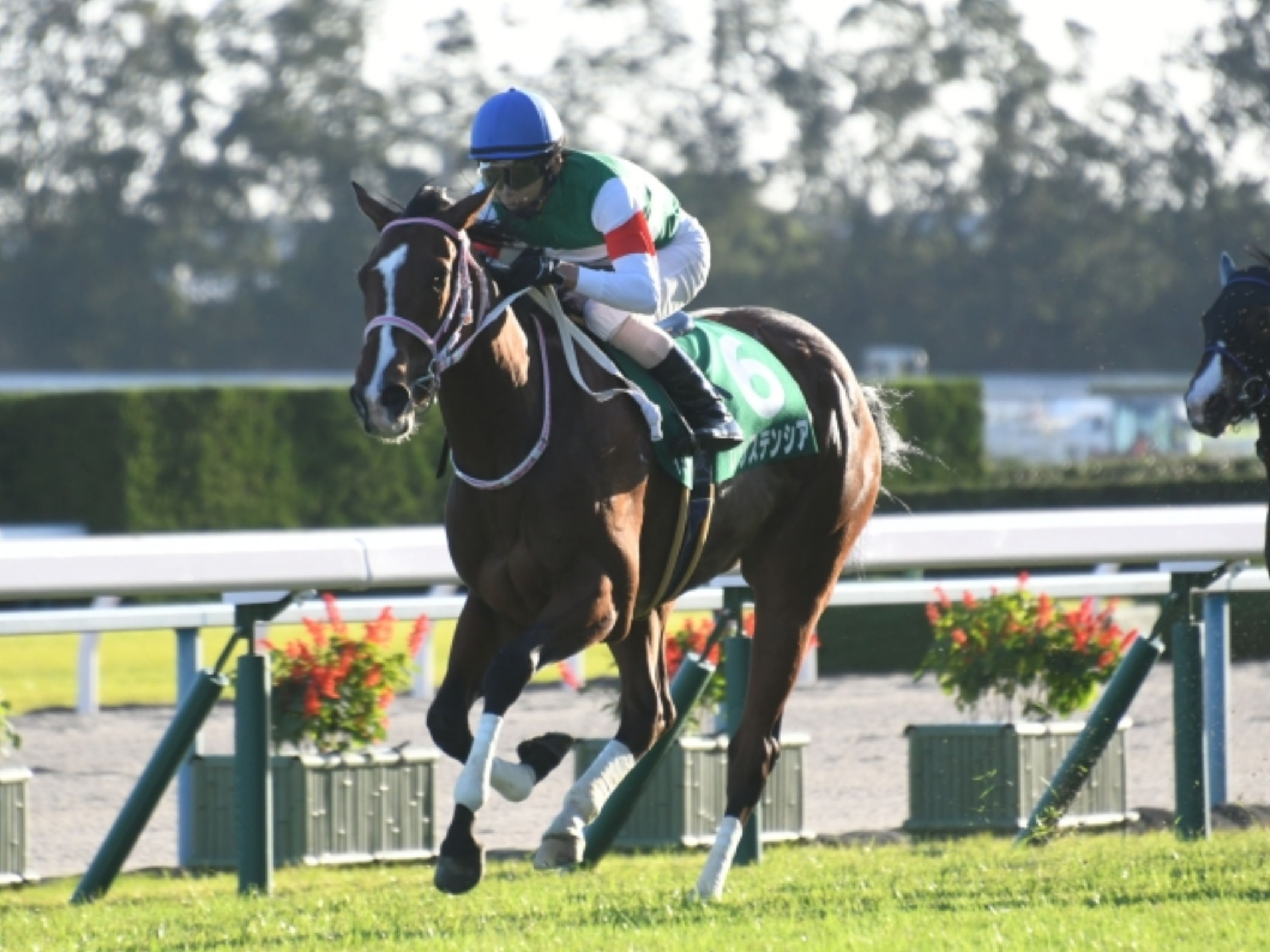 Yuichi Kitamura with Resistencia