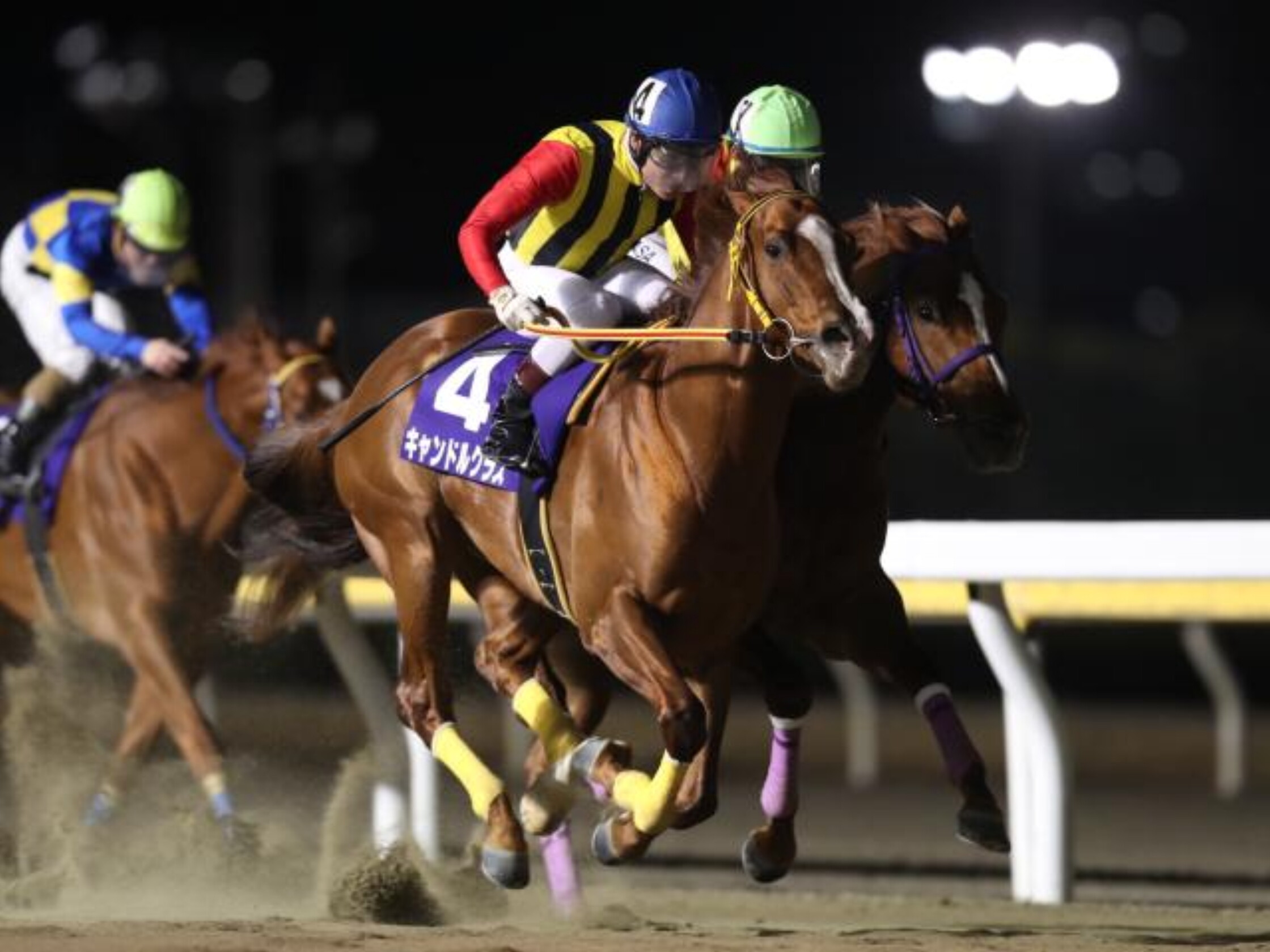 Funabashi_Kinen_2021