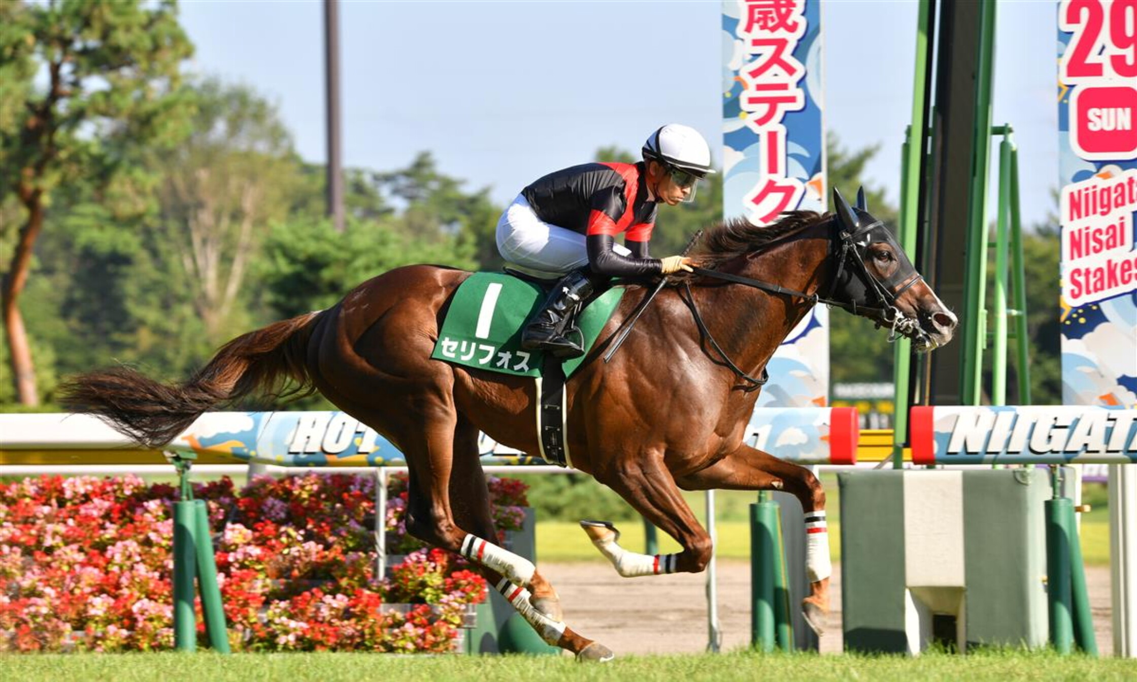 Niigata_nisai_Stakes_2021