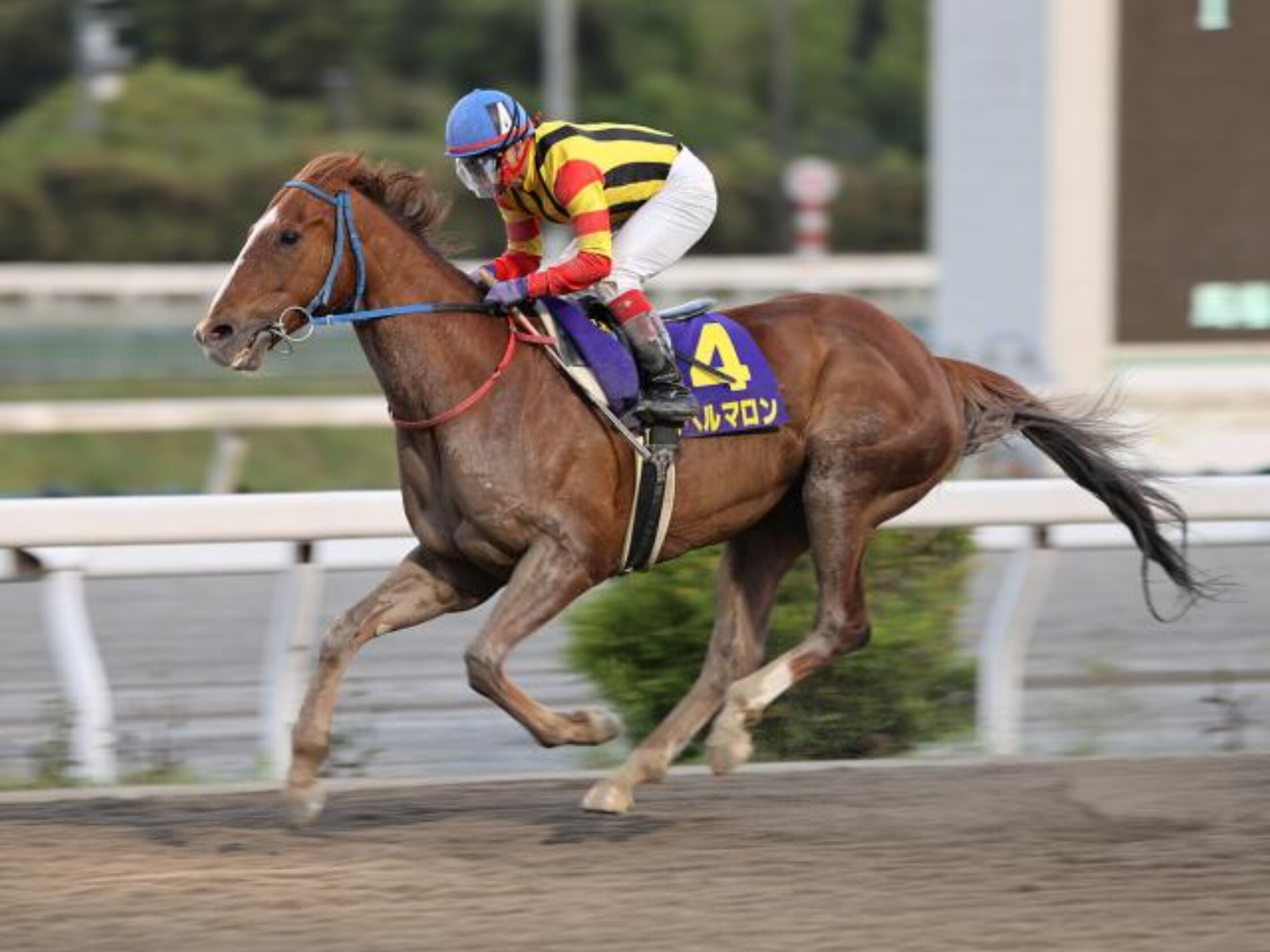 Nijuyonmangoku_sho_2021