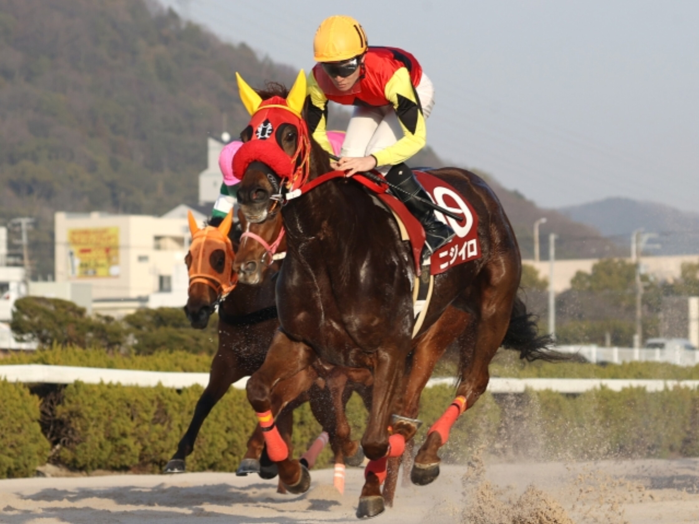 Hyogo_Queen_Selection_2021