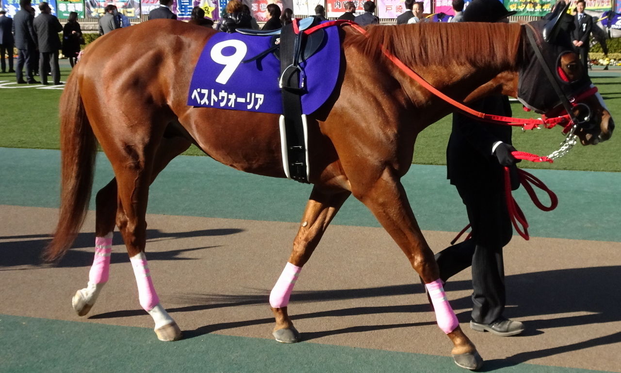 イメージ 3