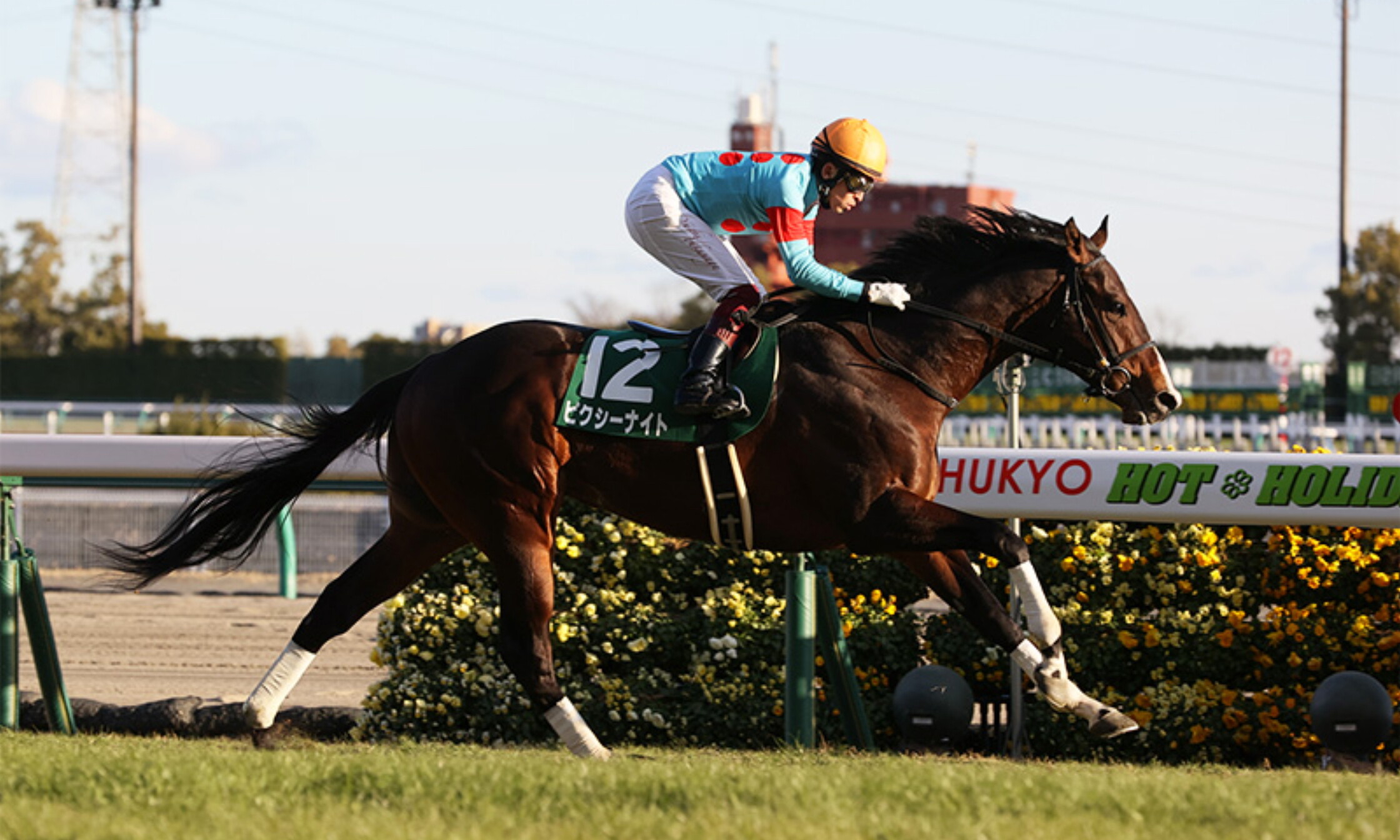 Shinzan_Kinen_2021