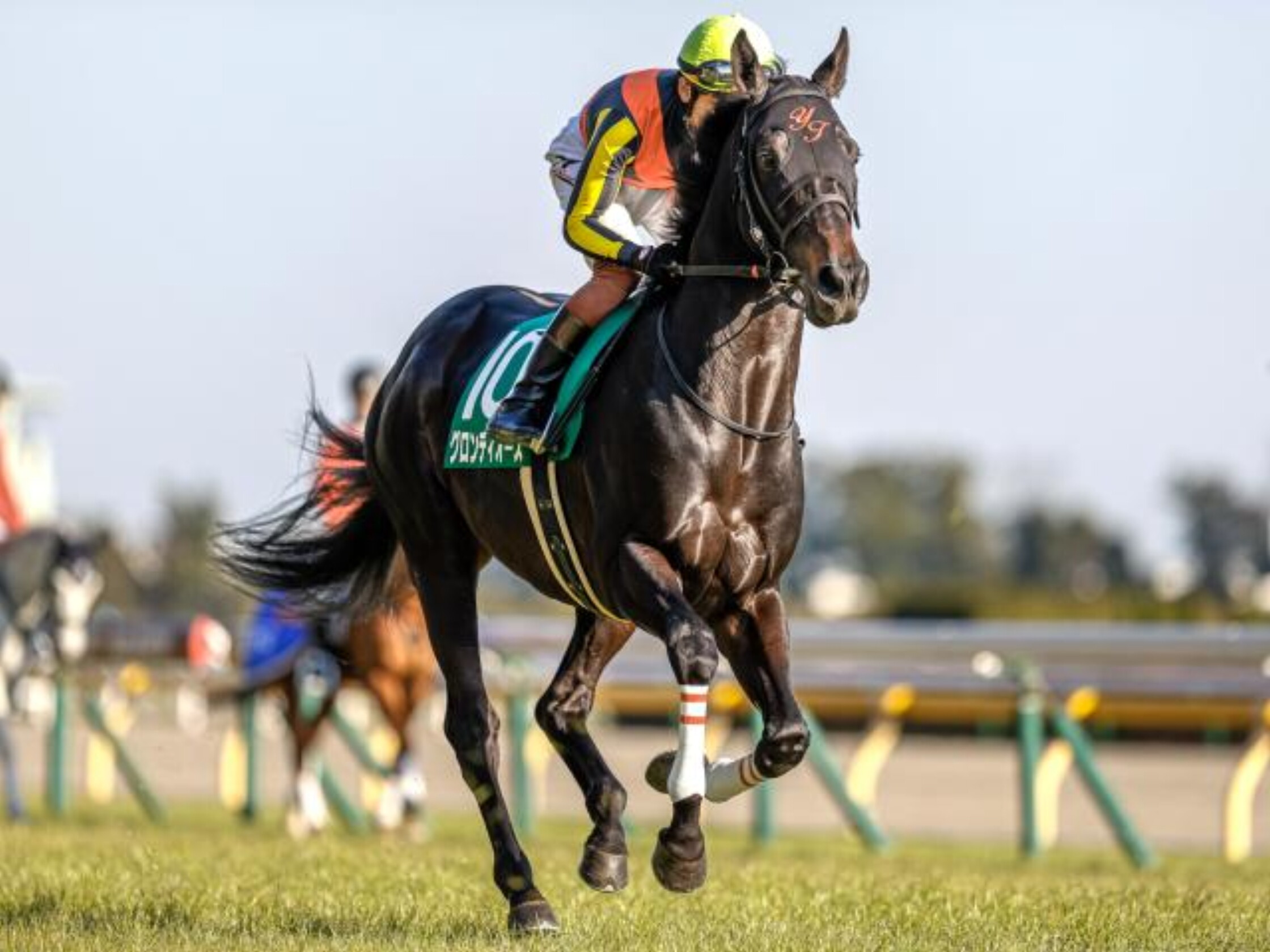 Diamond_Stakes_2021