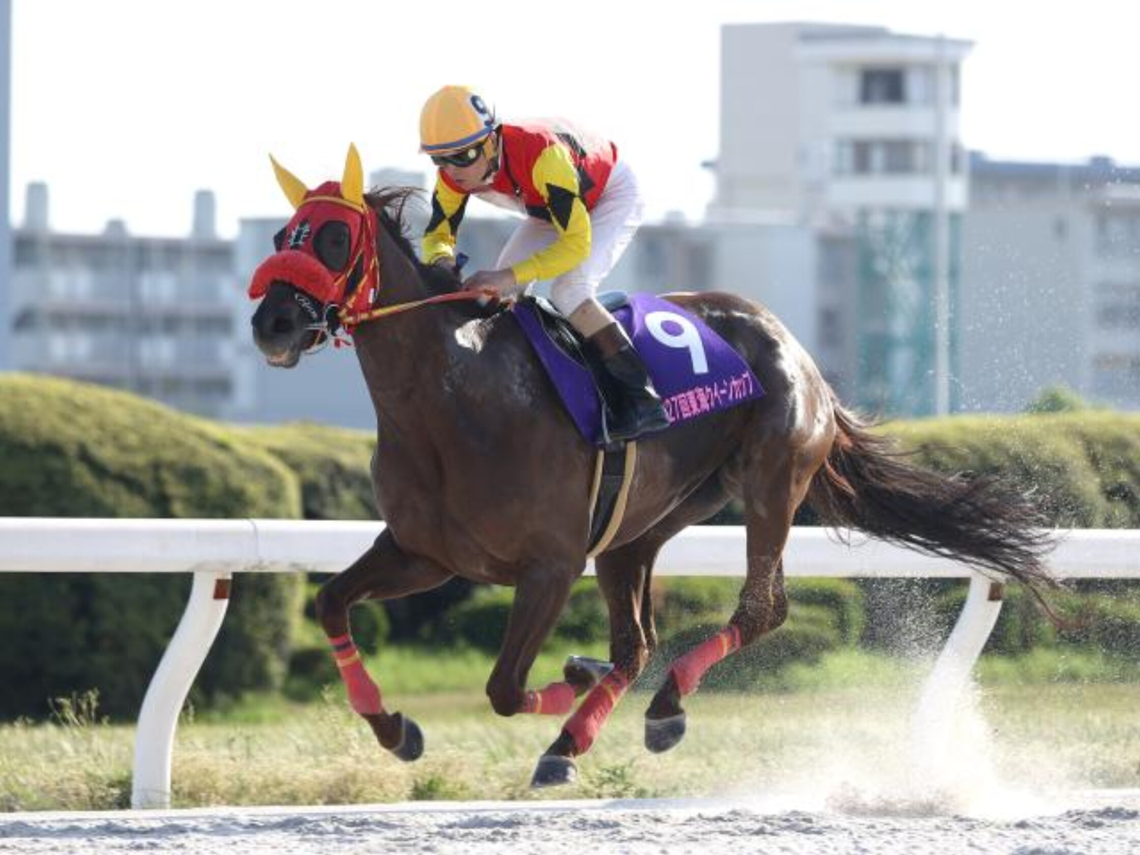 Tokai_Queen_Cup_2021