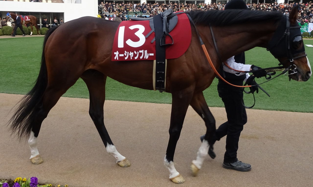 イメージ 4