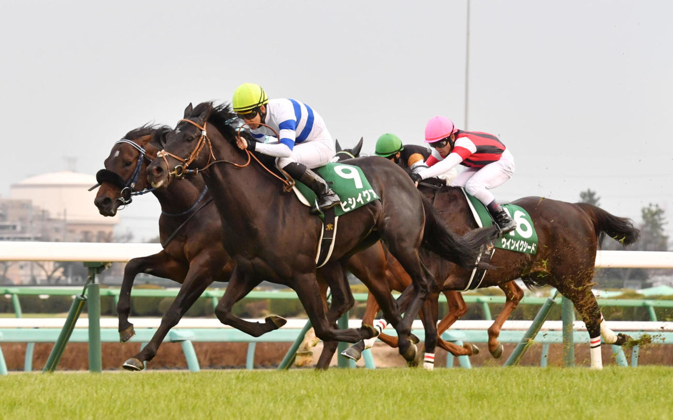 Nakayama_Kinpai_2021