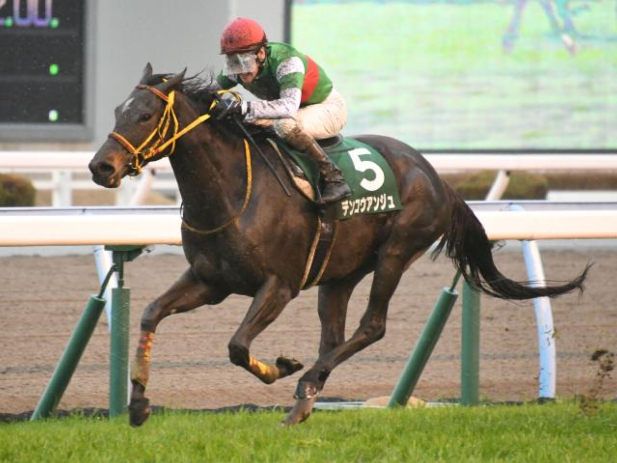Shibata_Yoshitomi_with_Denko_Ange