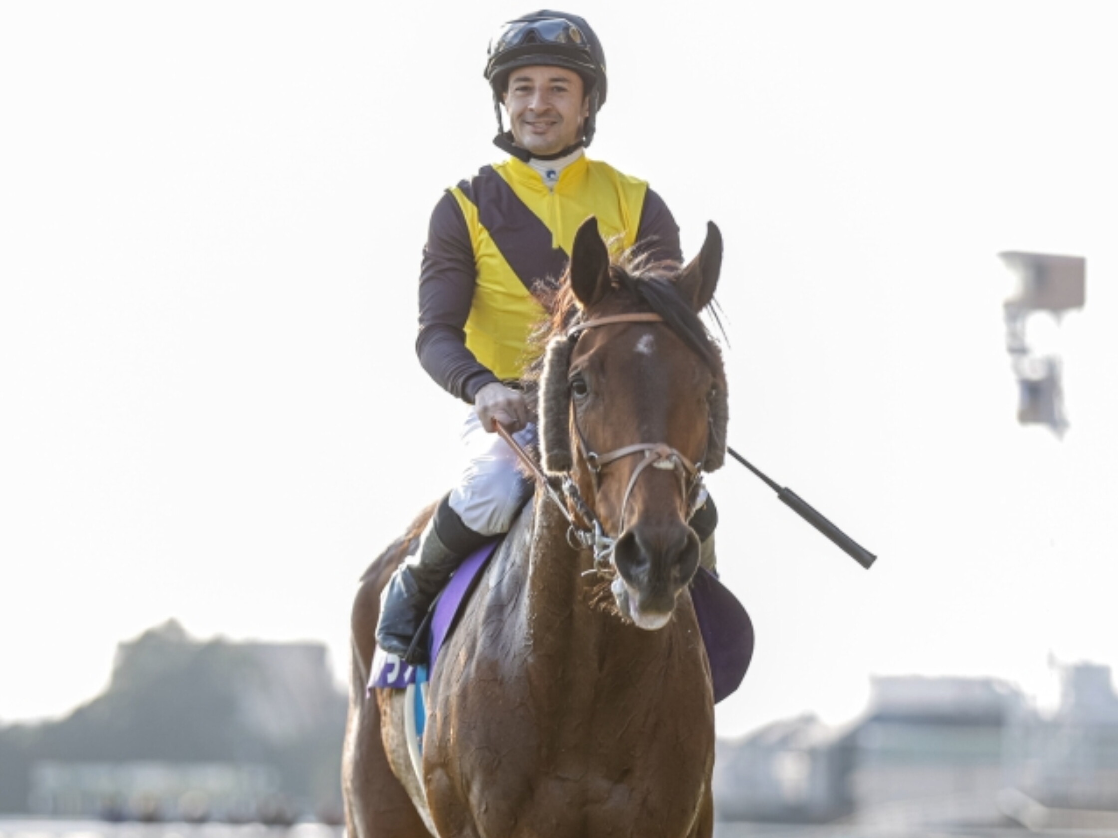 February_Stakes_2021