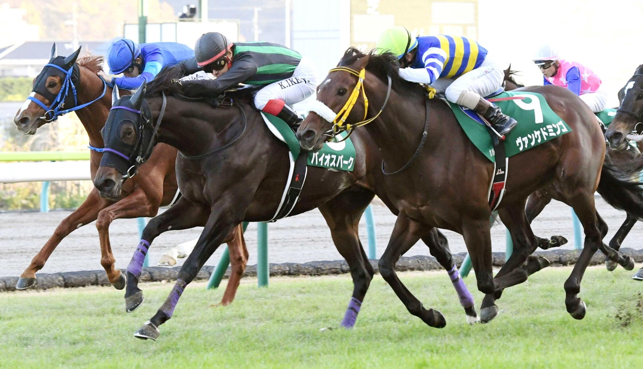 Fukushima_Kinen_2020