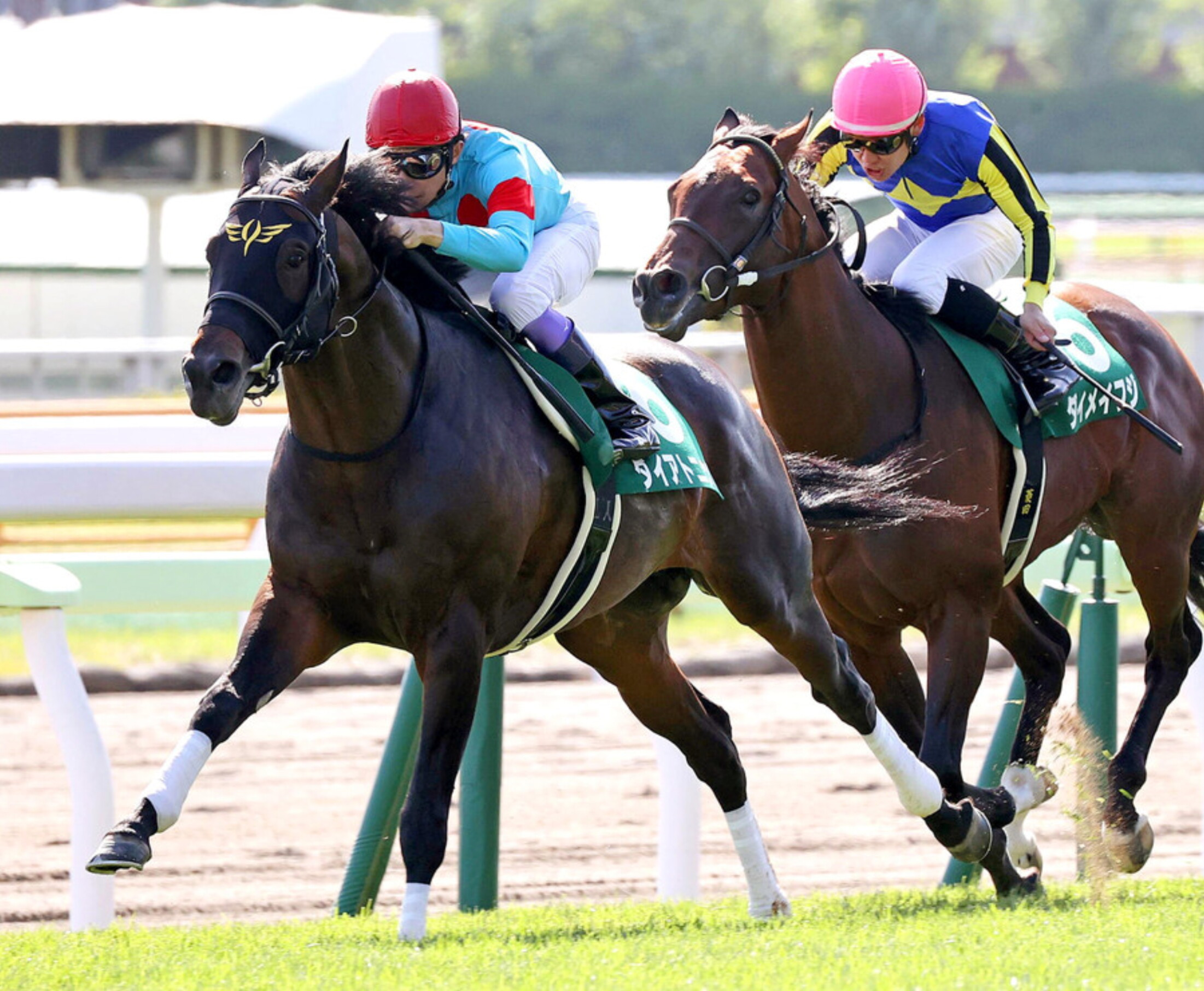 Hakodate_Sprint_Stakes_2020