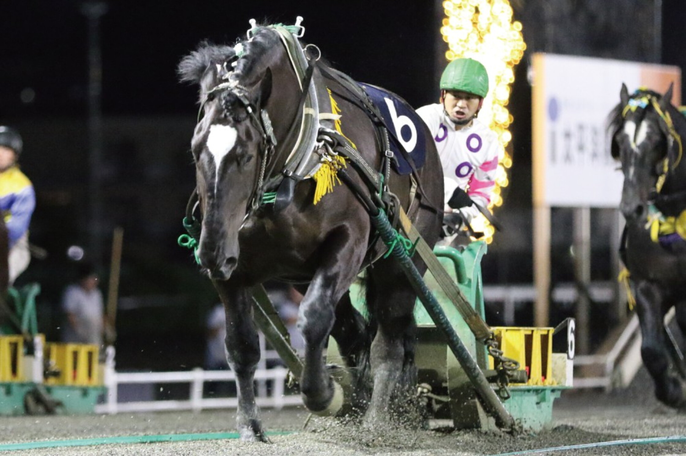 Banei_Daishoten_2021