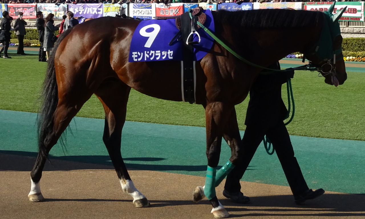 イメージ 7