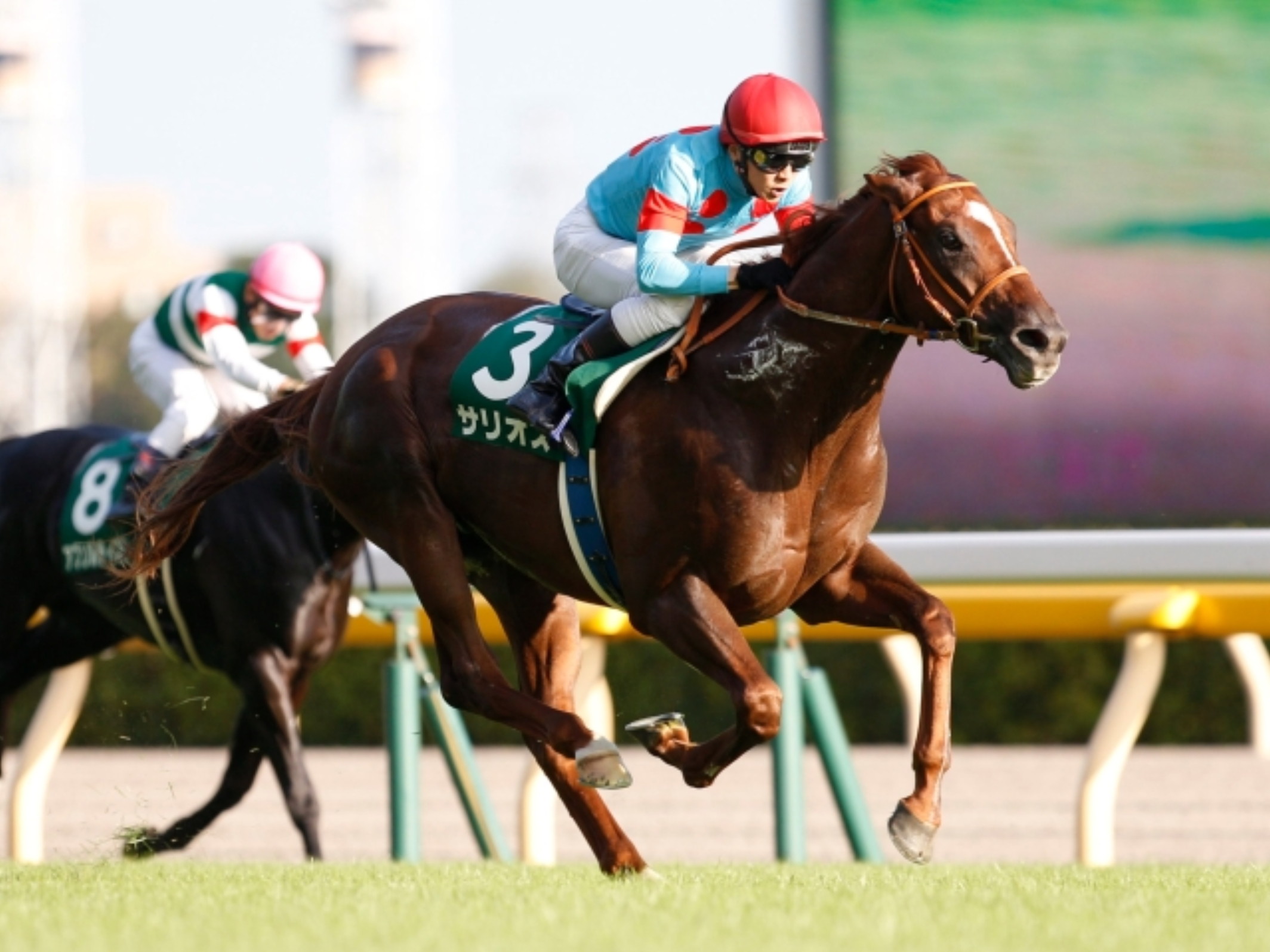 Shu Ishibashi with Salios