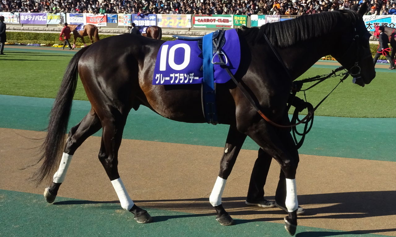 イメージ 15