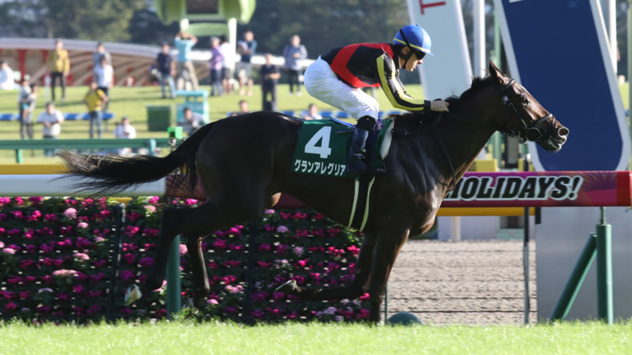 Saudi_Arabia_Loyal_Cup_2018