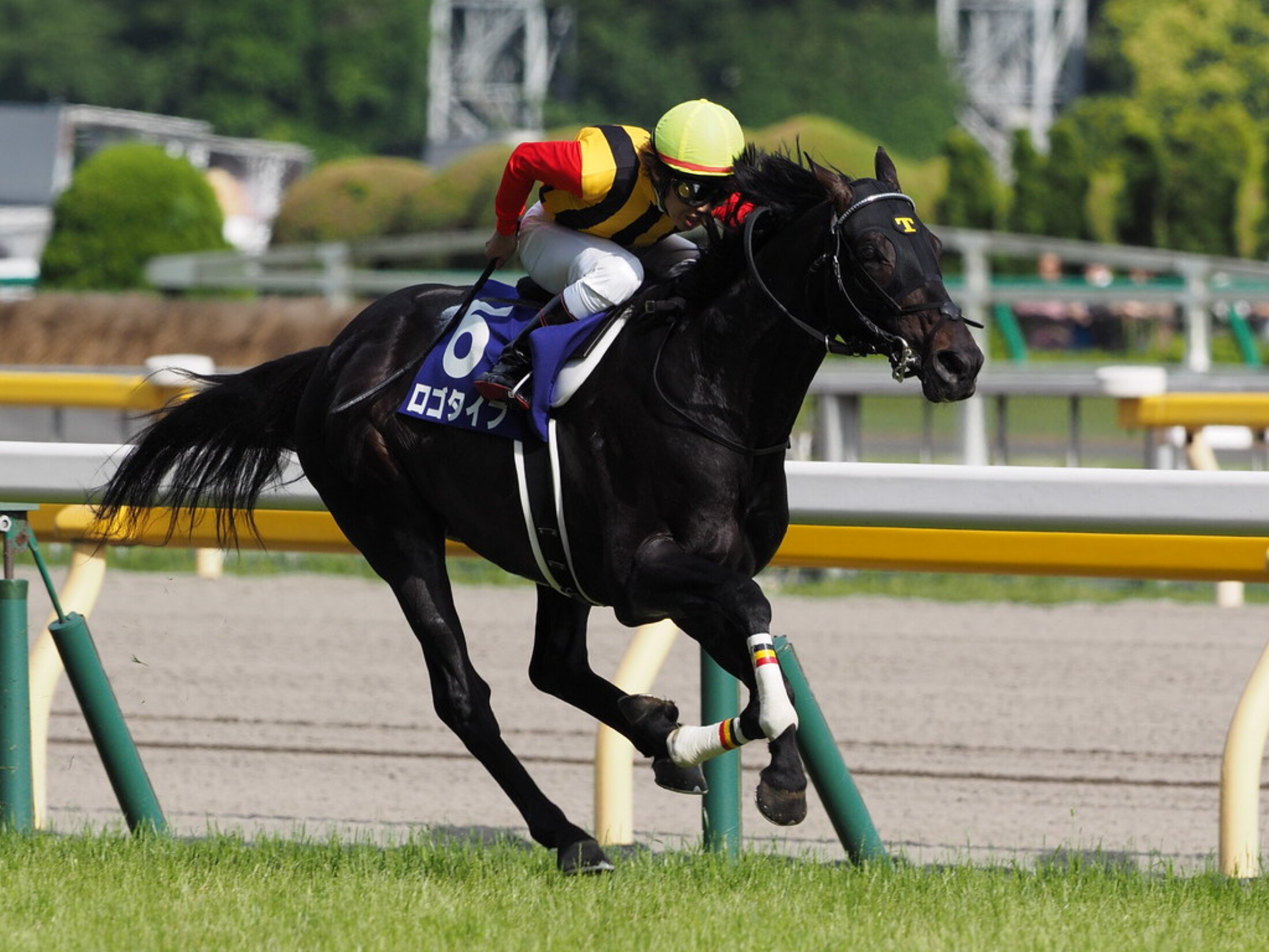 Hironobu_Tanabe_with_Logotype