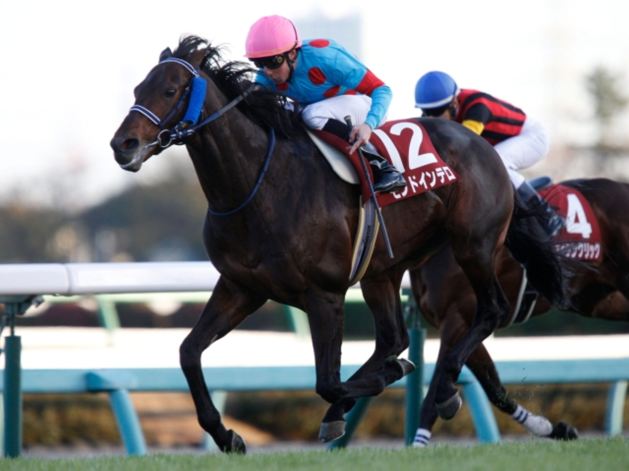 William_Buick_with_Mondo_Intero