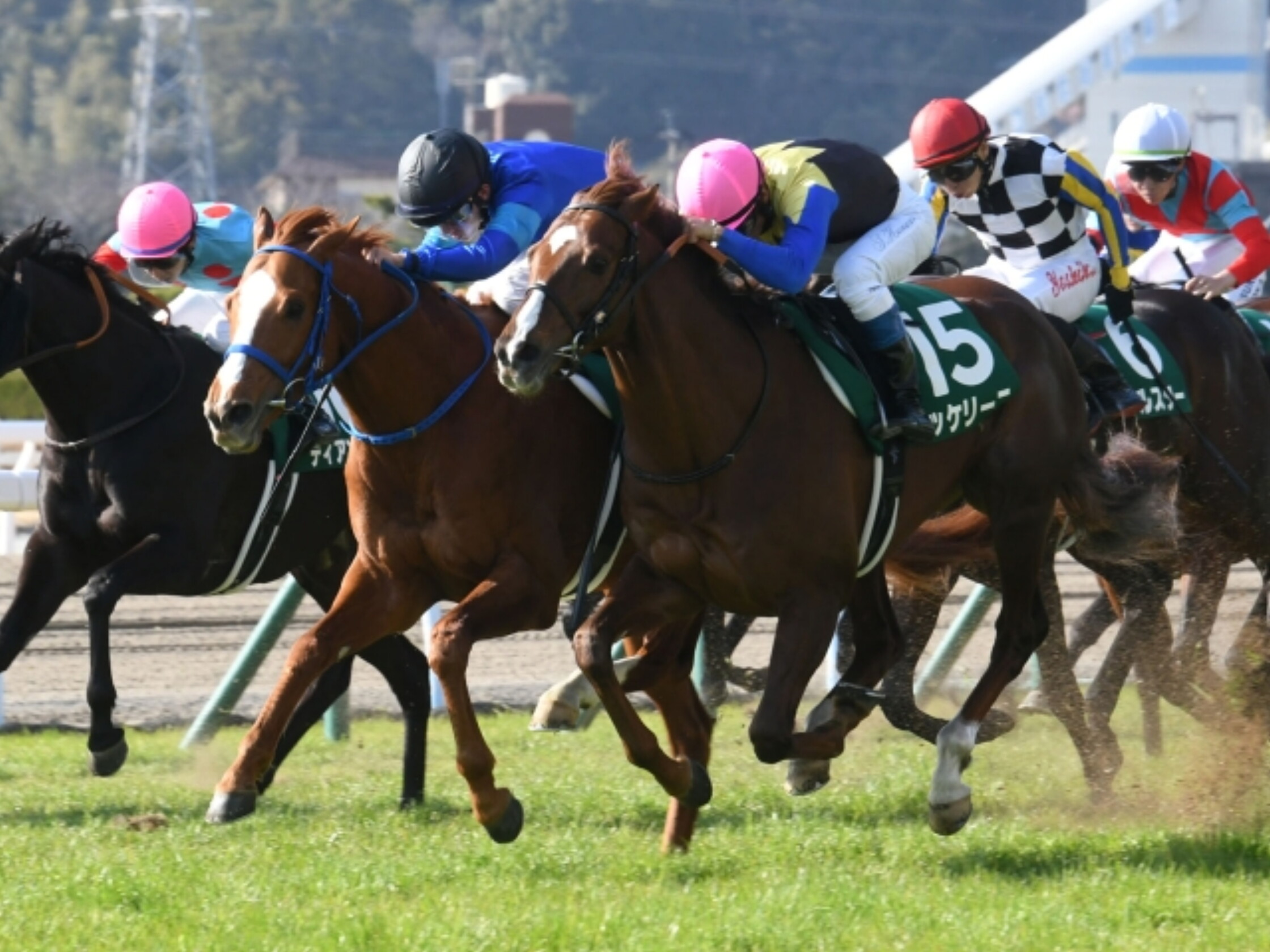 Kokura_Daishoten_2021